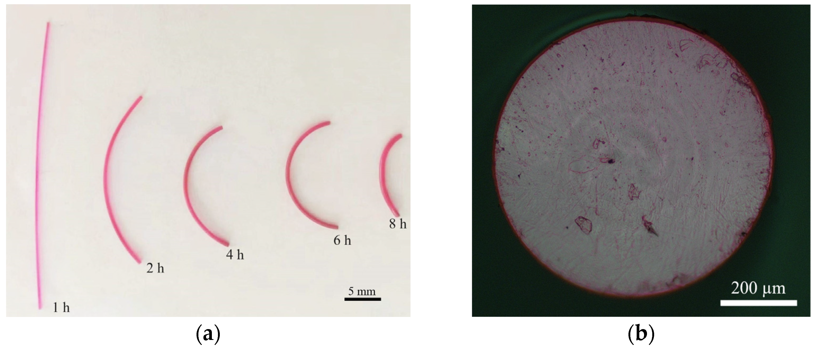 Photonics 11 00966 g001