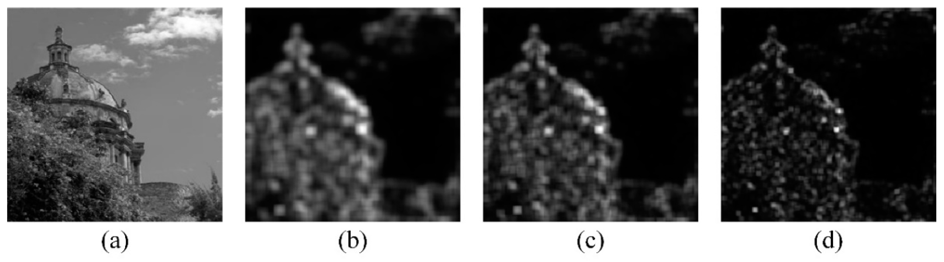 Photonics 11 00969 g003
