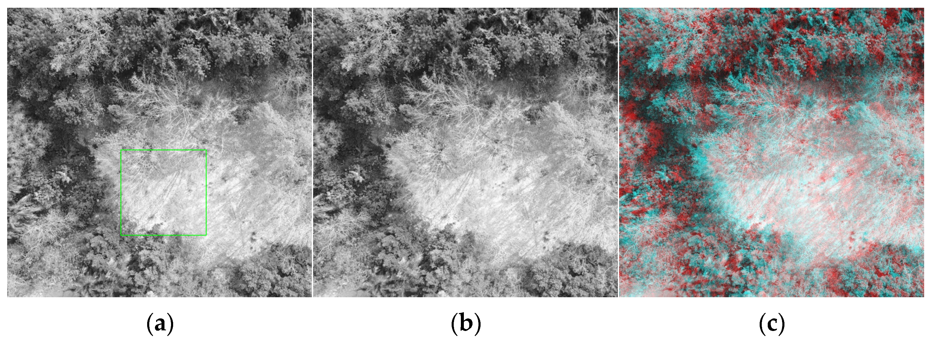 Photonics 11 00970 g004 Photonics 11 00970 g004