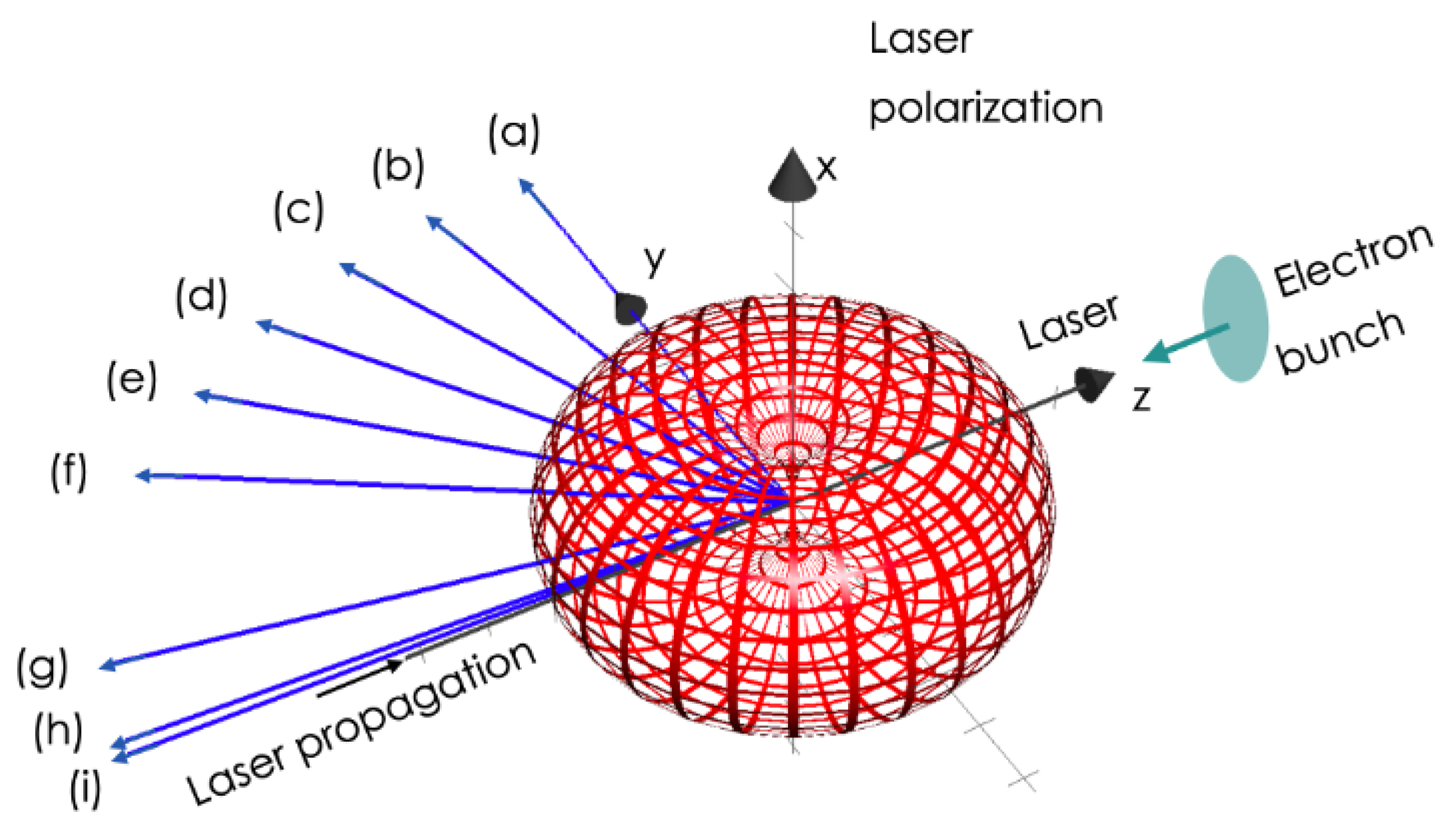 Photonics 11 00971 g005