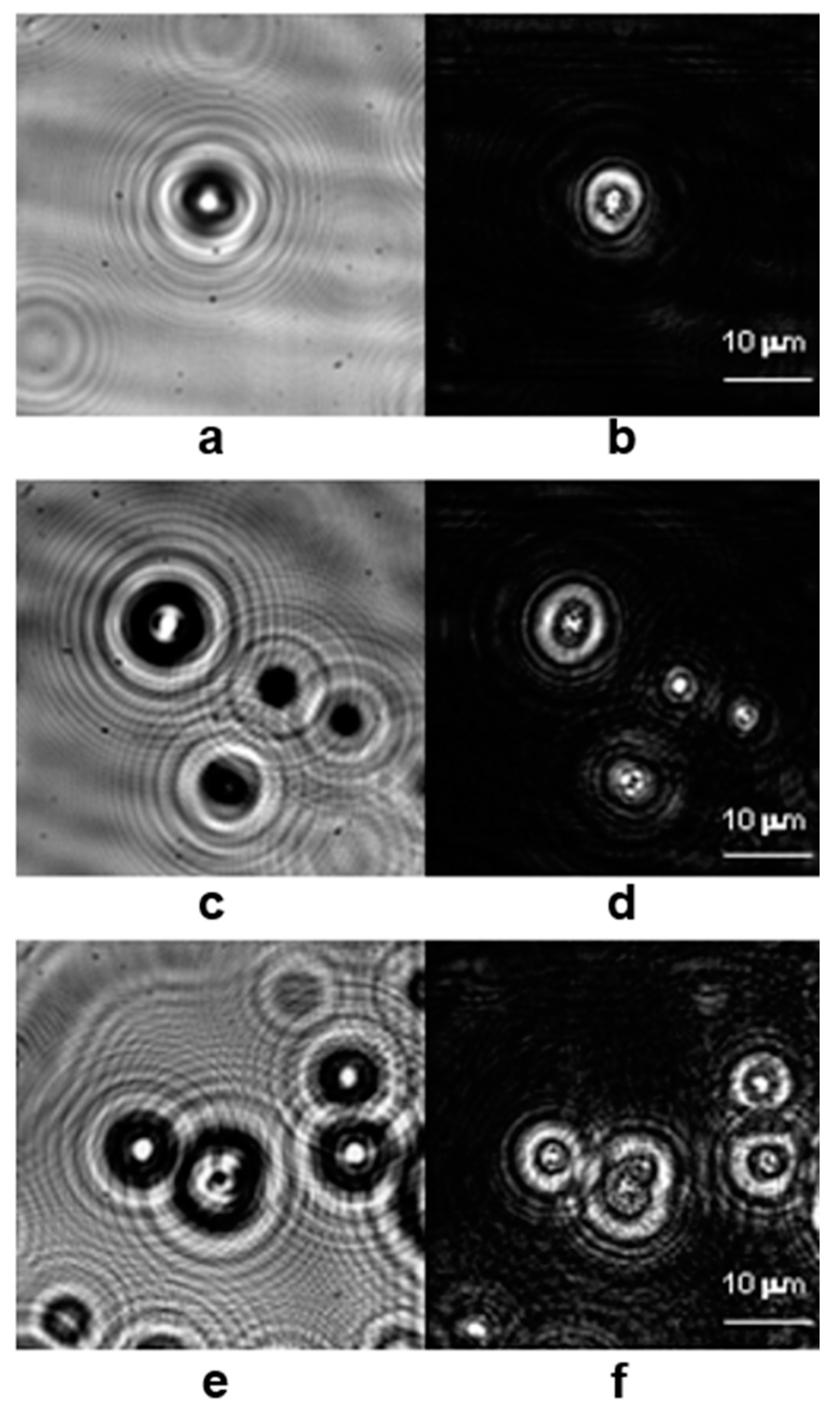 Photonics 11 00980 g005