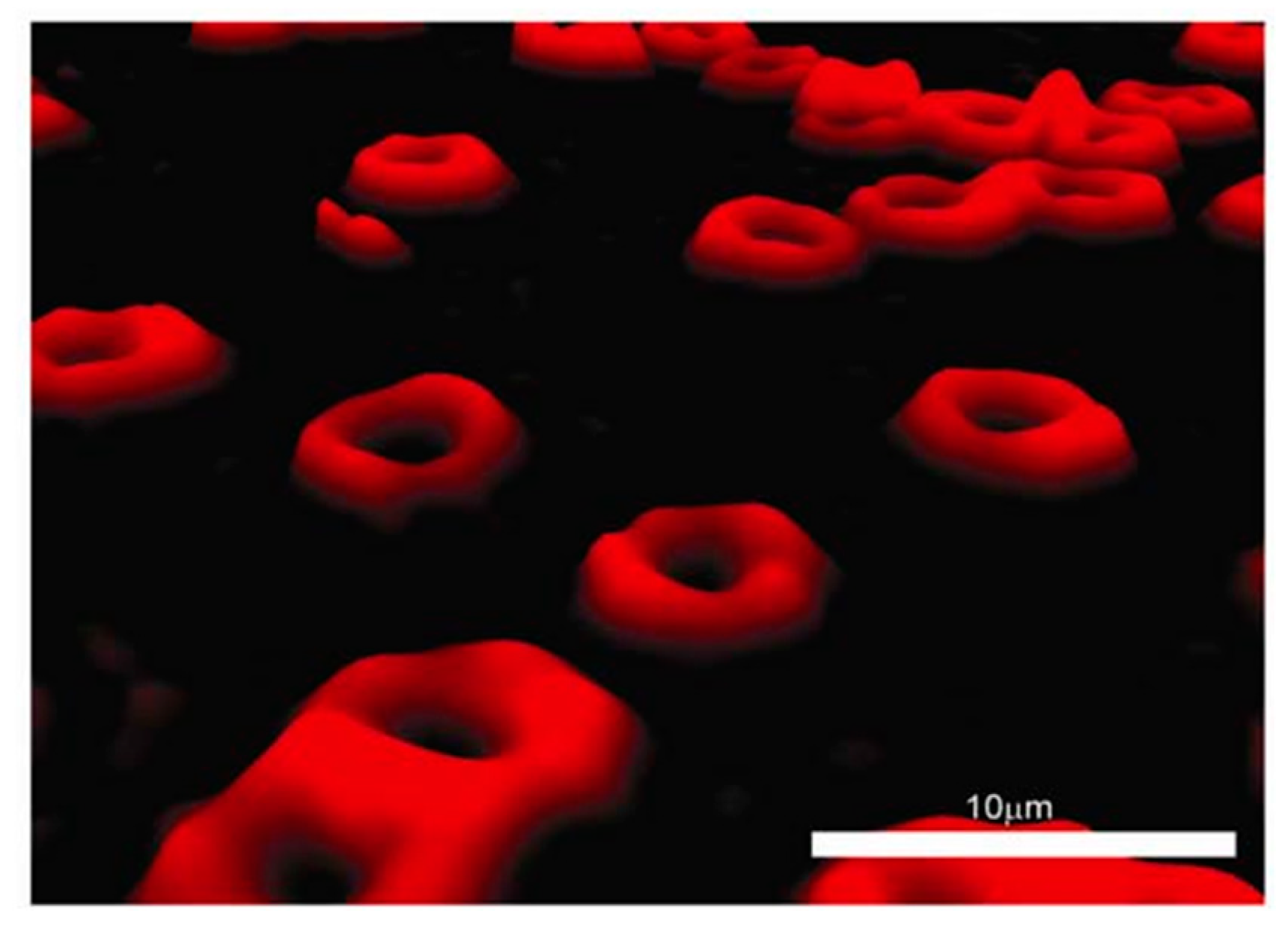 Photonics 11 00980 g006