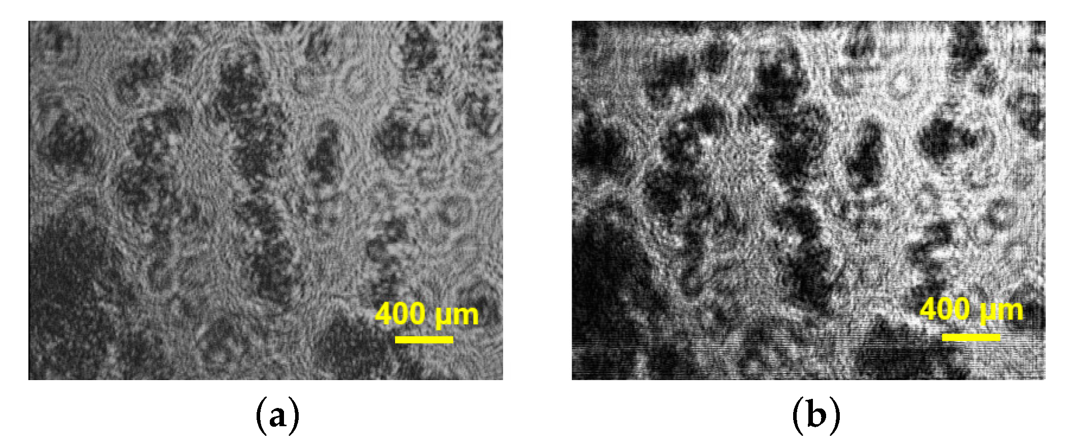 Photonics 11 00980 g009