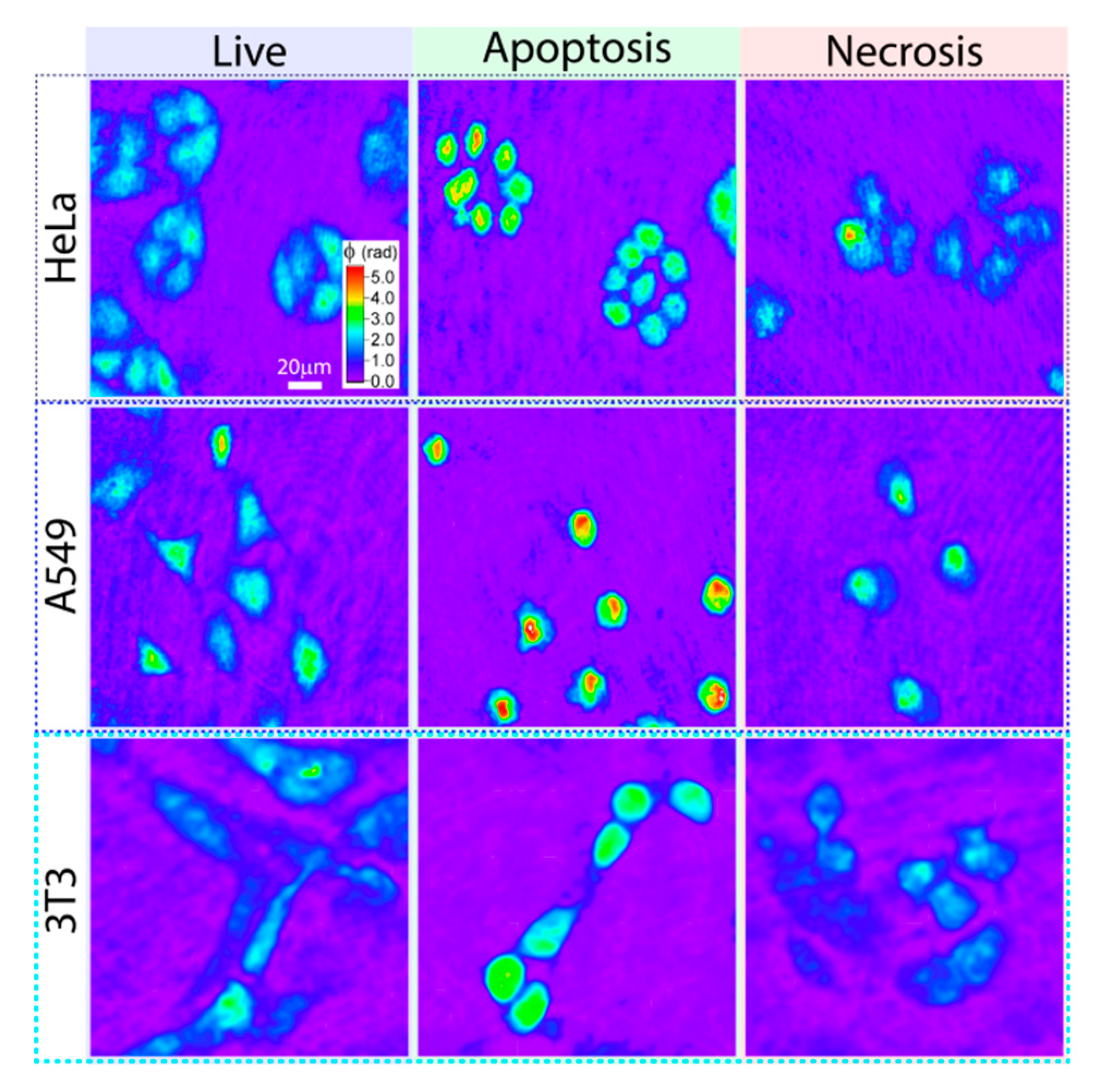 Photonics 11 00980 g012