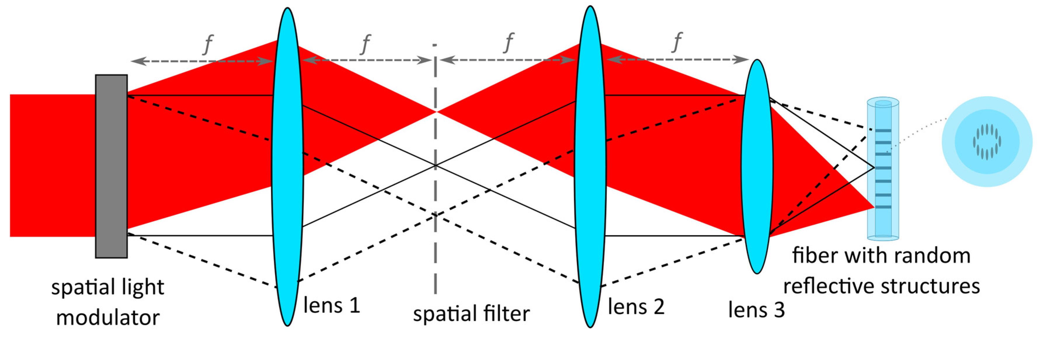 Photonics 11 00981 g002