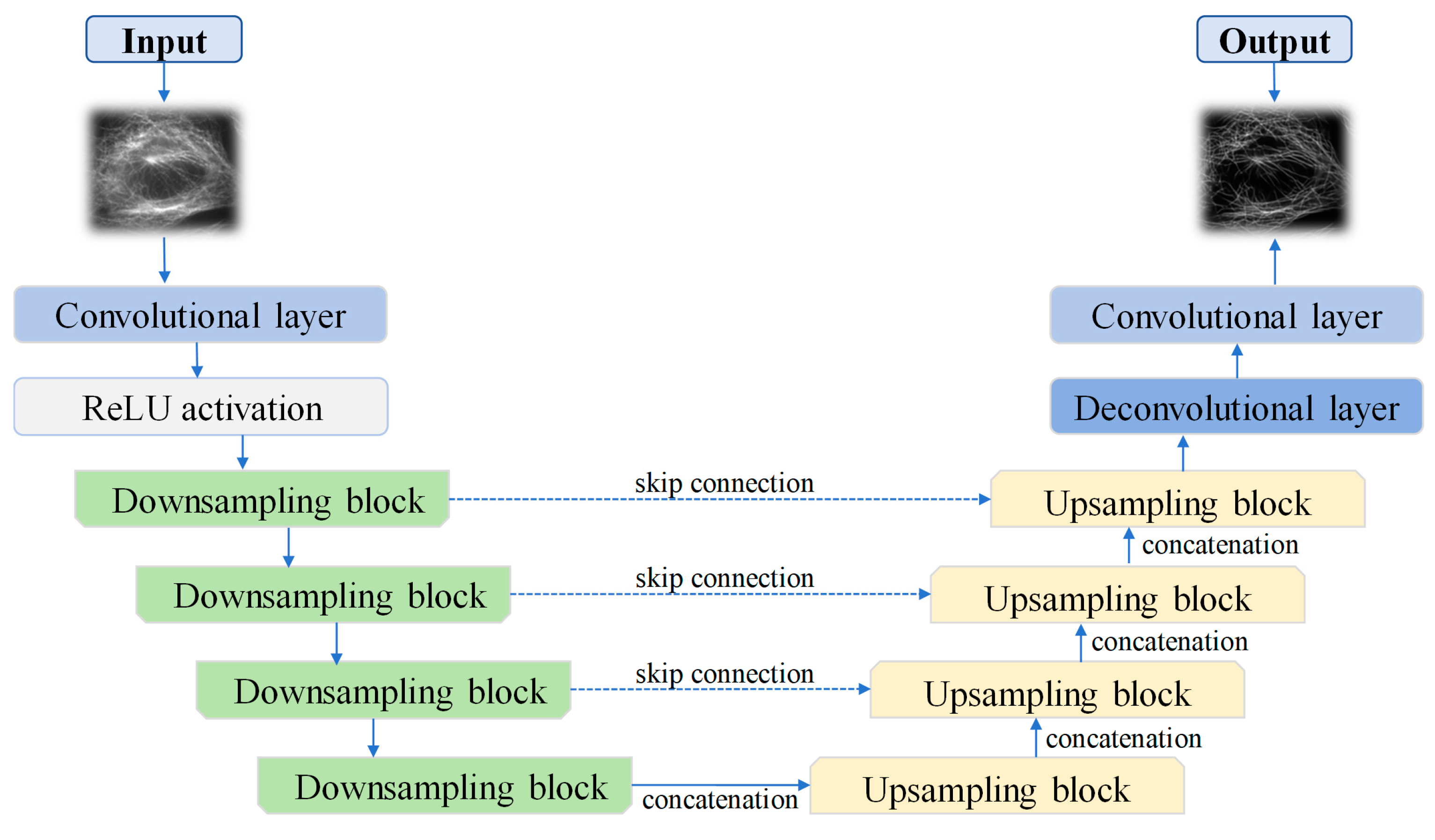 Photonics 11 00983 g002