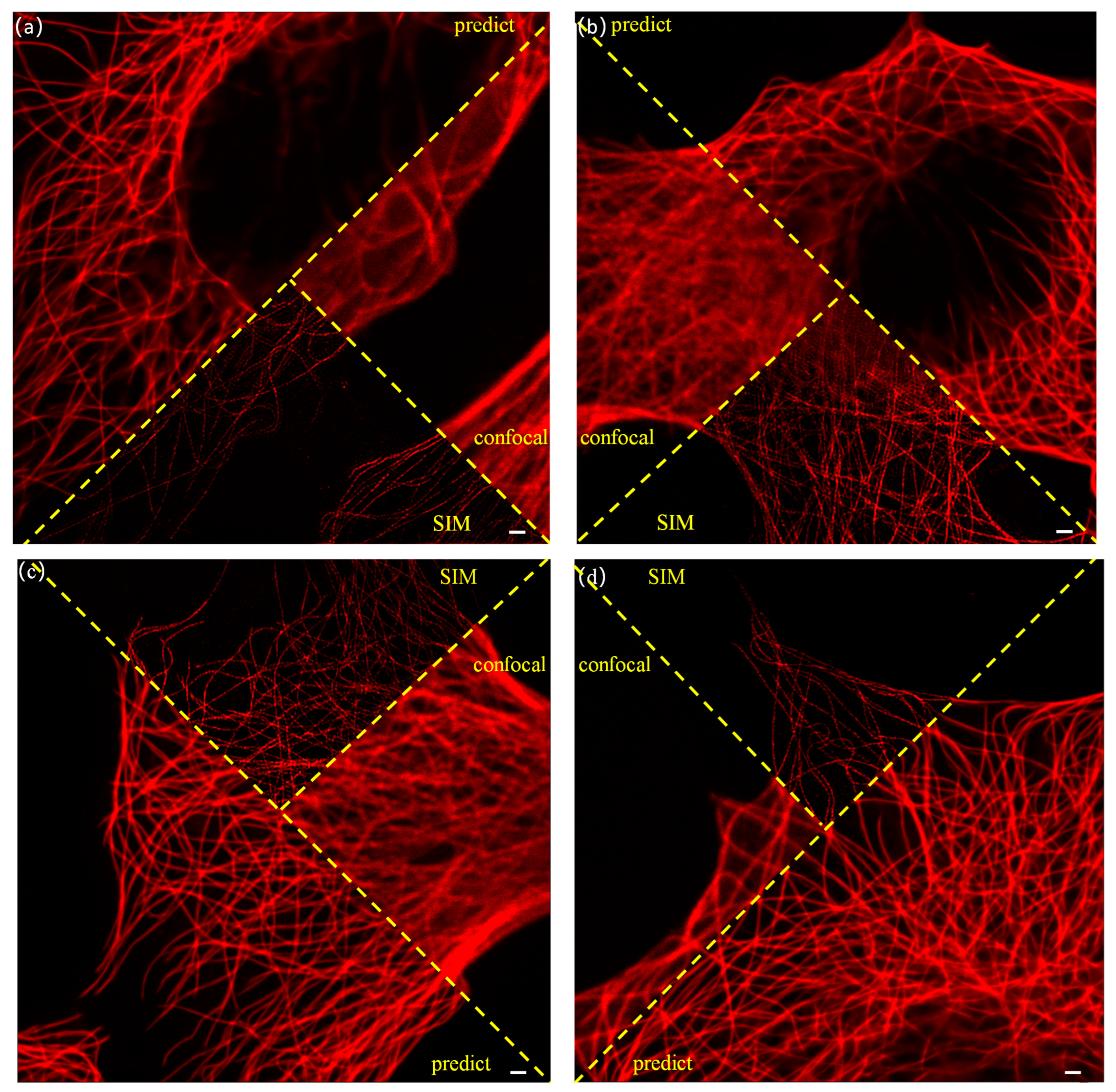Photonics 11 00983 g004