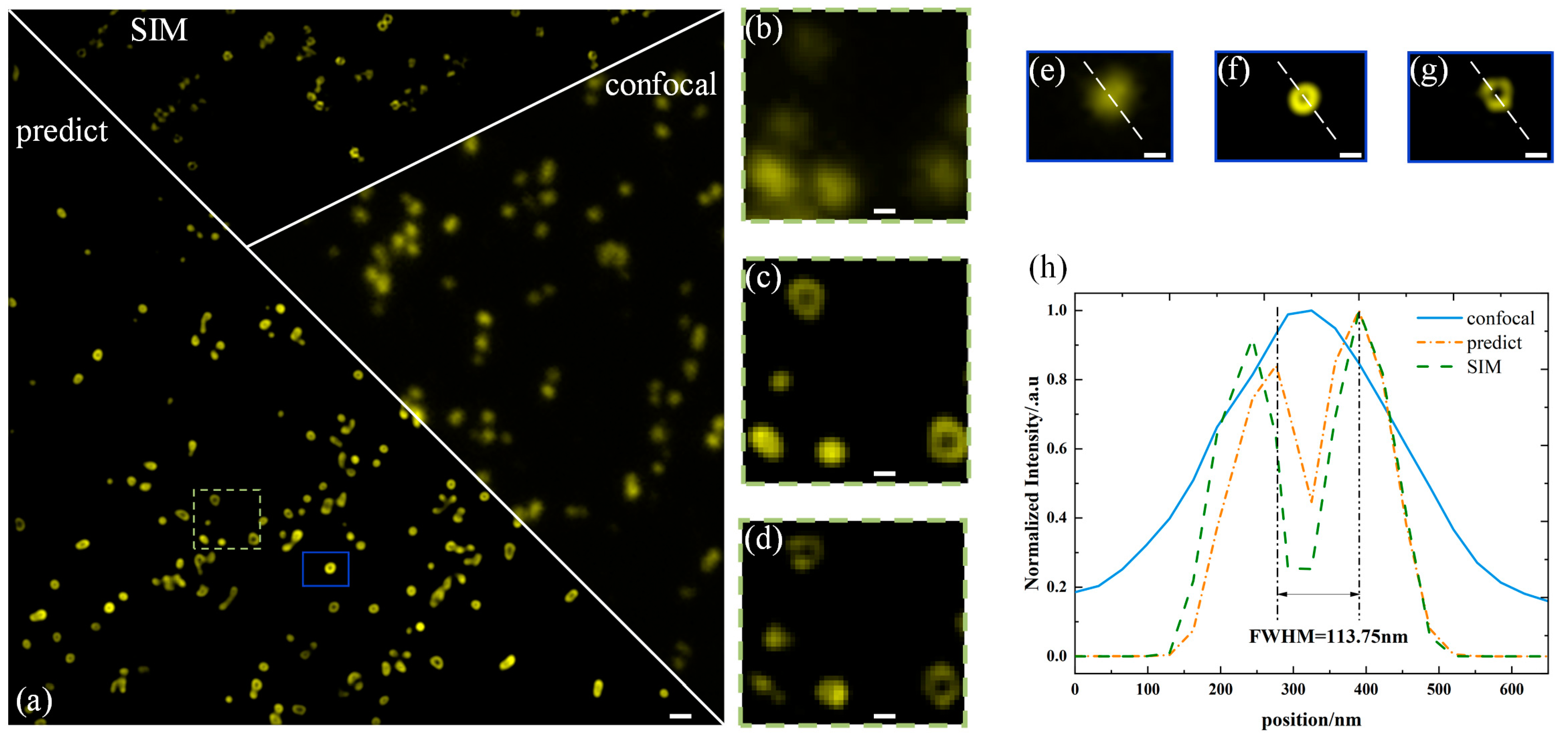 Photonics 11 00983 g006