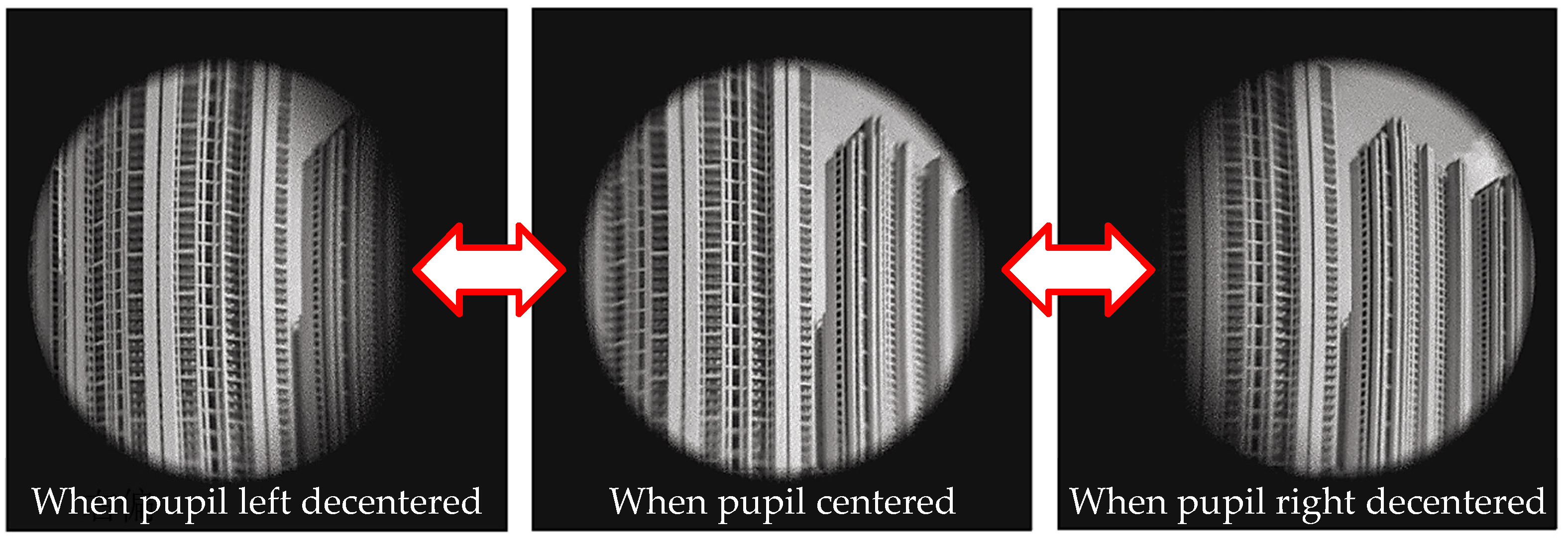 Photonics 11 00995 g003