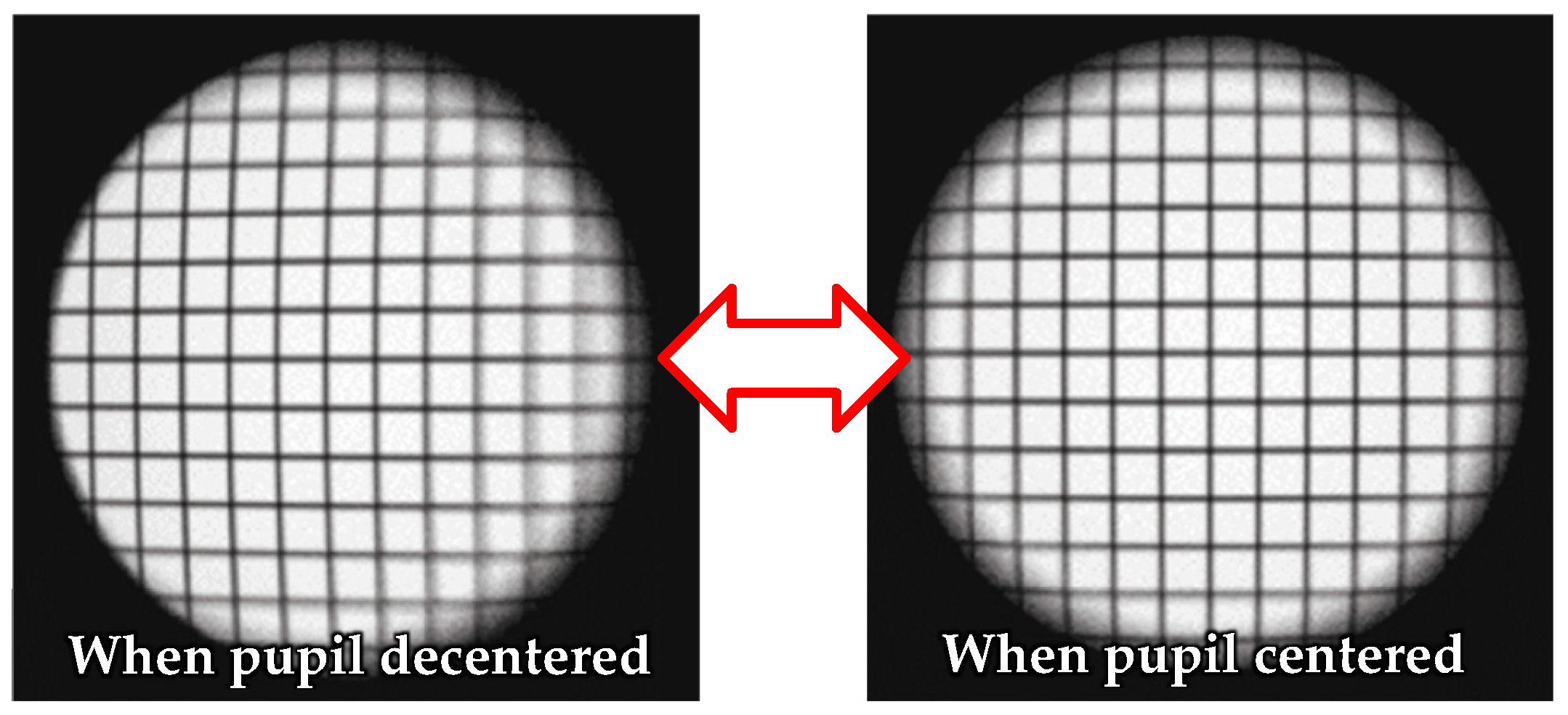 Photonics 11 00995 g010