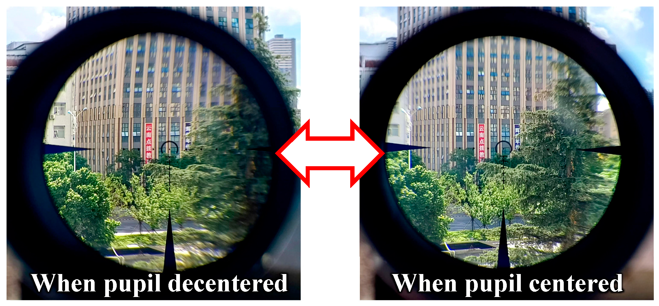 Photonics 11 00995 g011