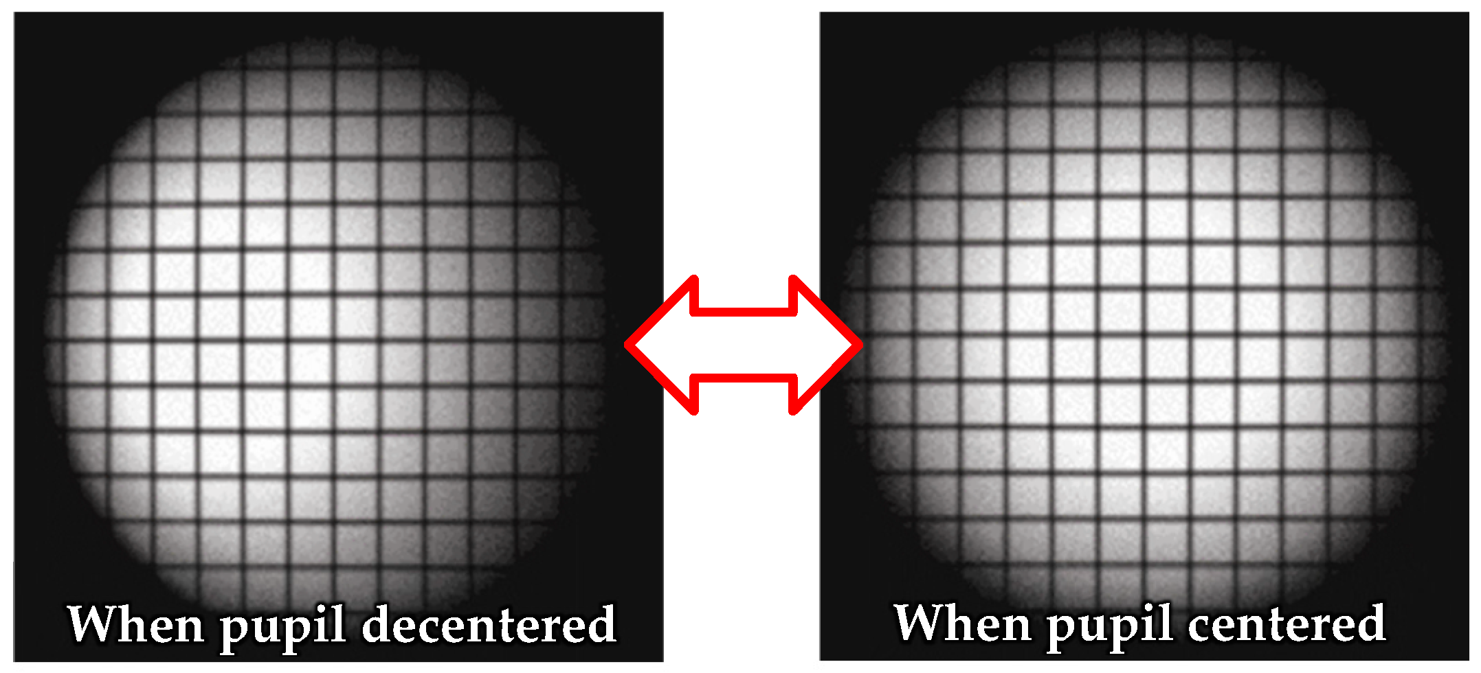 Photonics 11 00995 g012