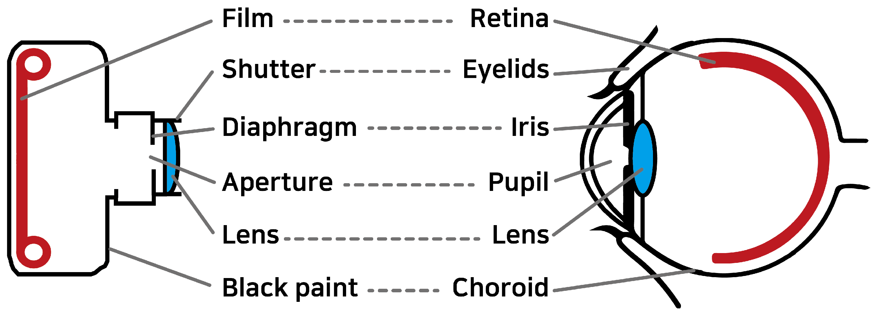 Photonics 11 01000 g002