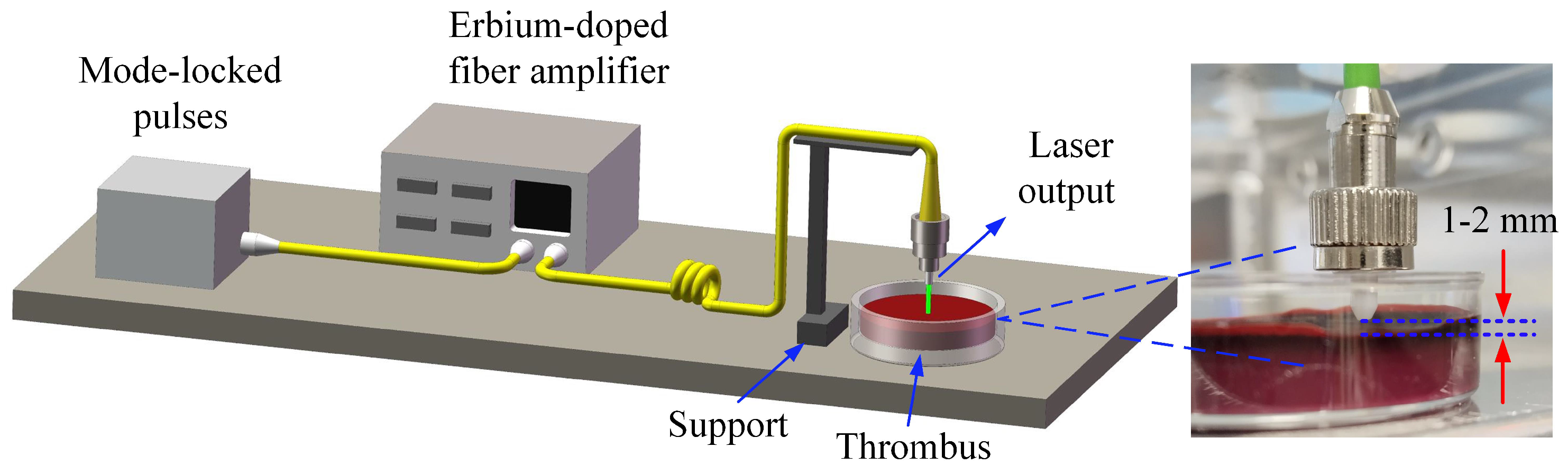 Photonics 11 01006 g005