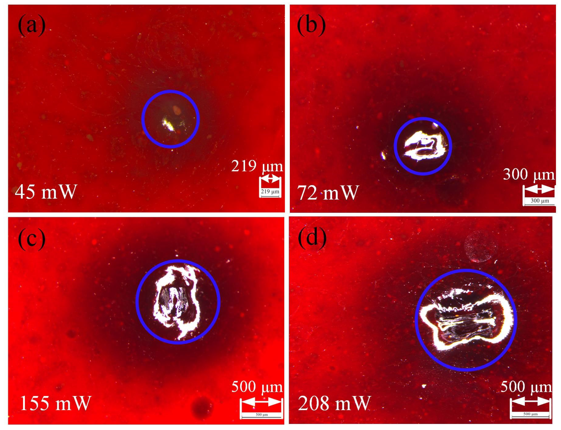 Photonics 11 01006 g006