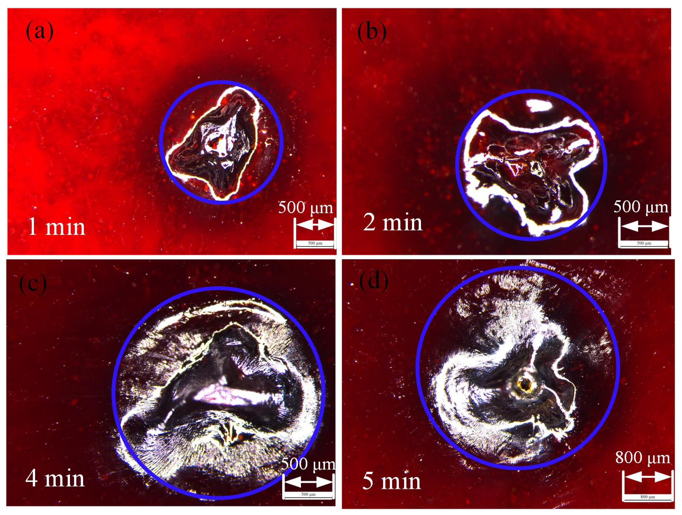 Photonics 11 01006 g007