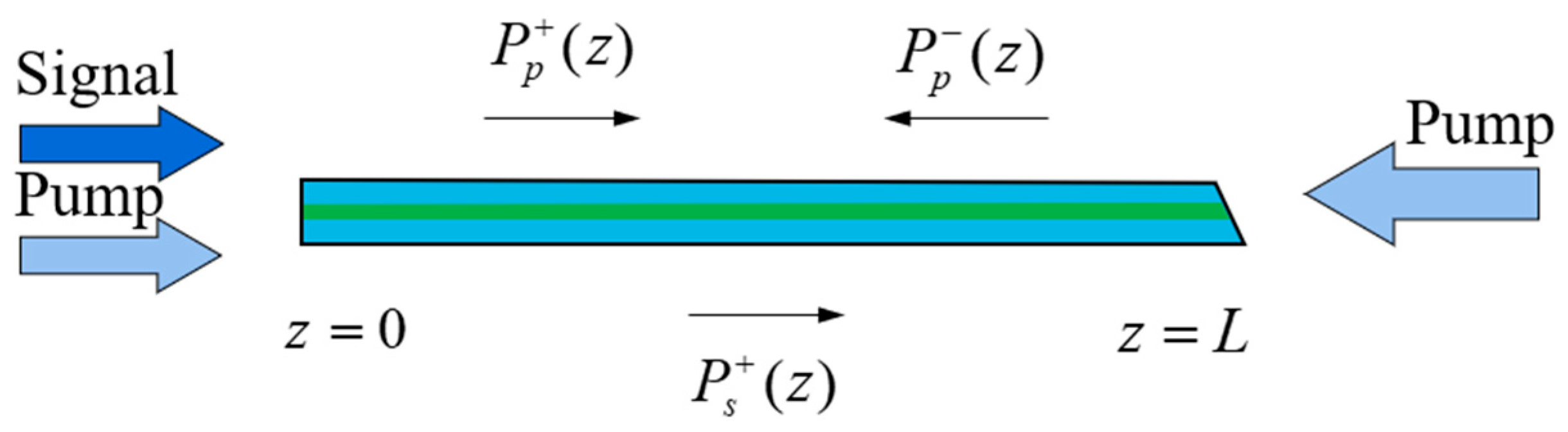 Photonics 11 01013 g002