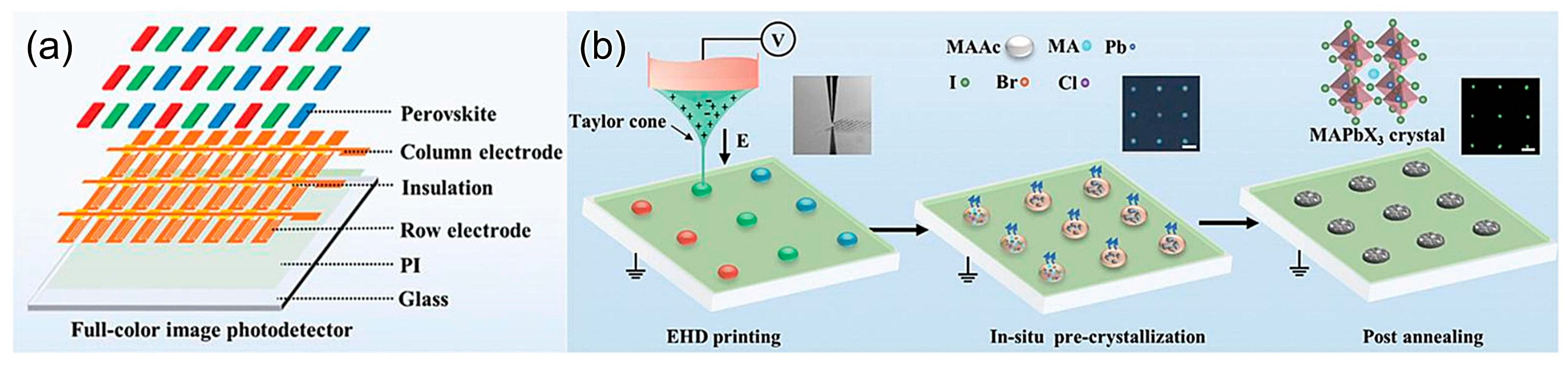 Photonics 11 01014 g007