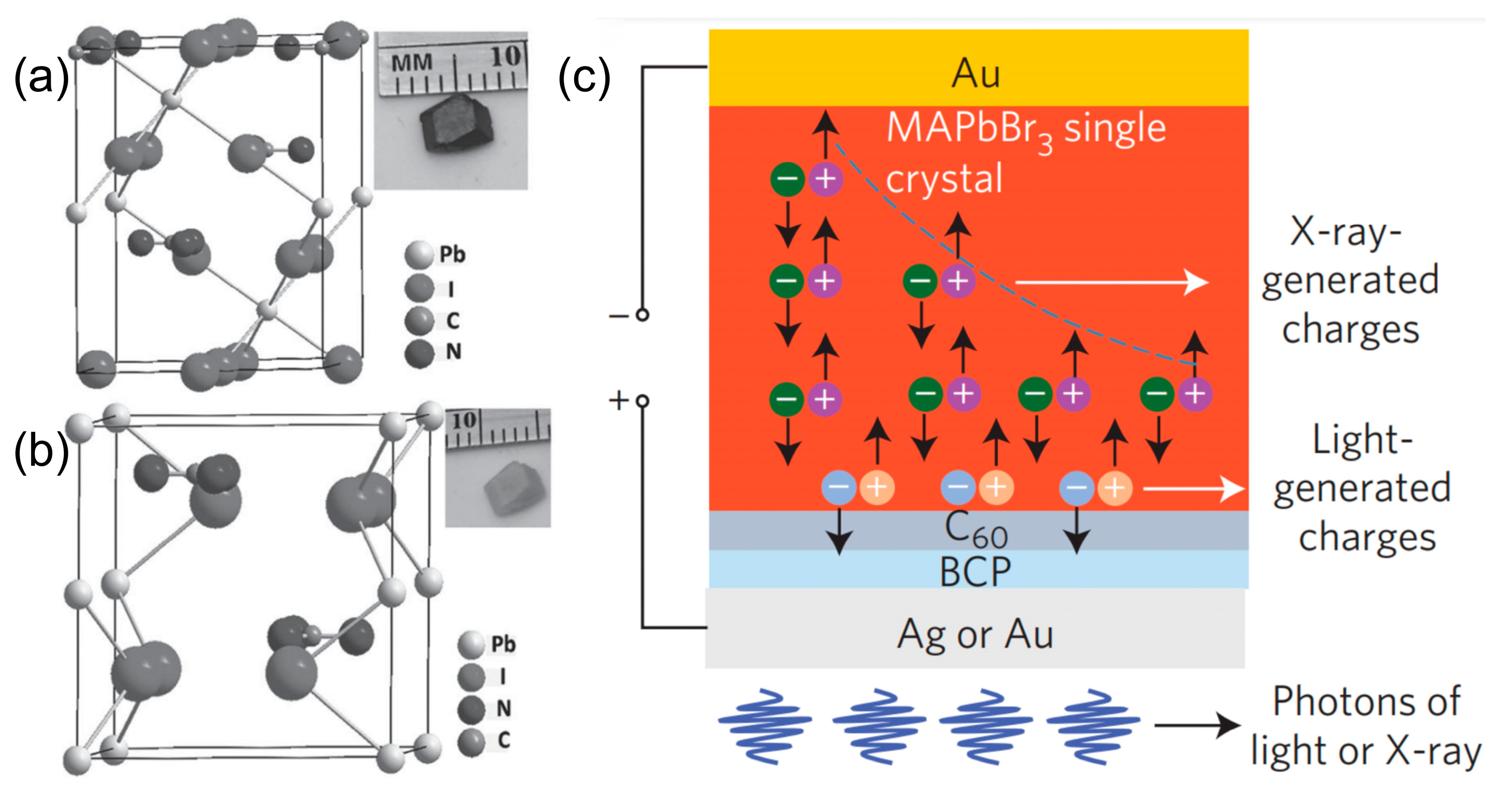 Photonics 11 01014 g009