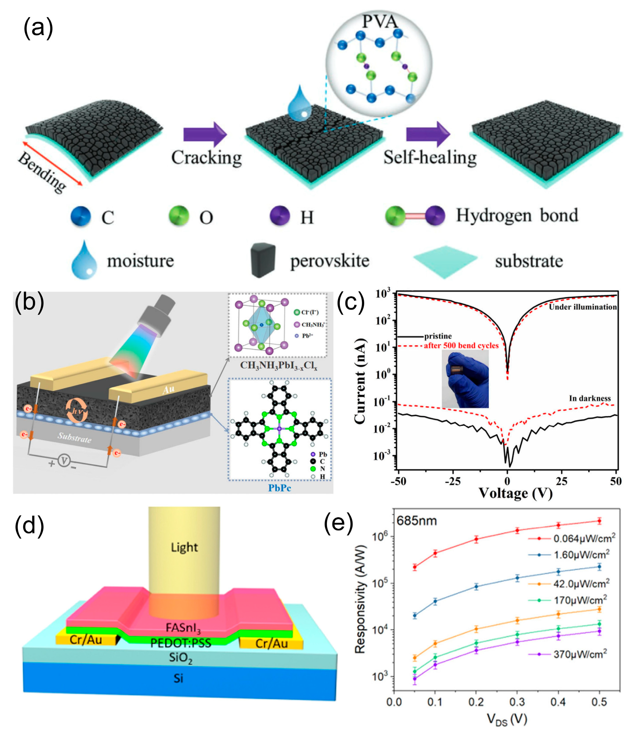 Photonics 11 01014 g010