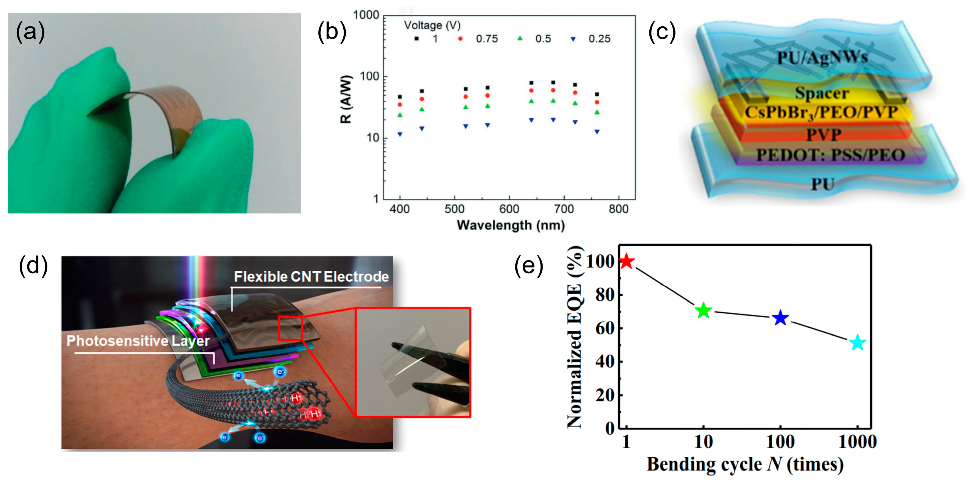 Photonics 11 01014 g012