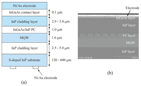 Design and Characteristics of Photonic Crystal Resonators for Surface ...