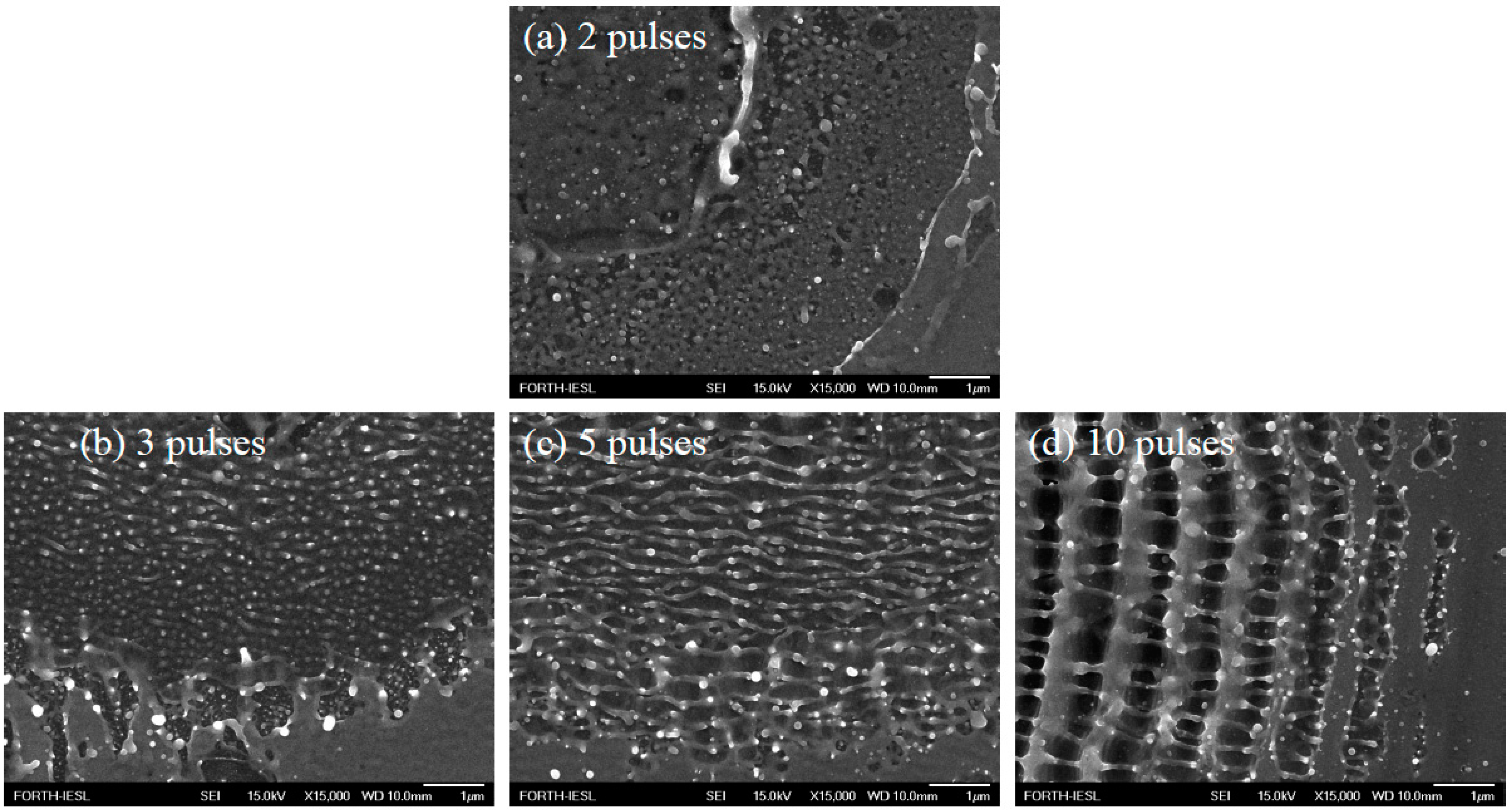 Photonics 11 01054 g005