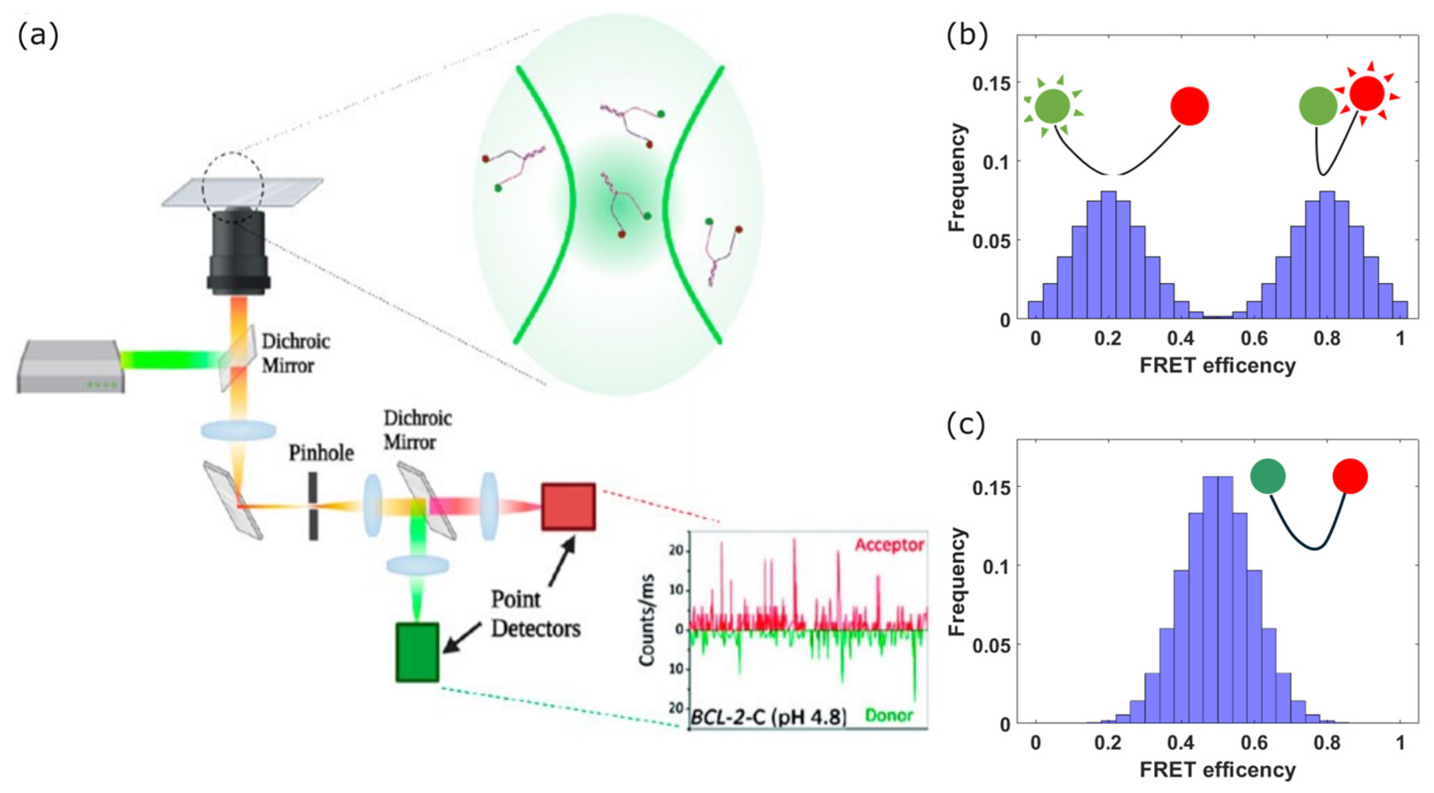 Photonics 11 01061 g001 Photonics 11 01061 g001