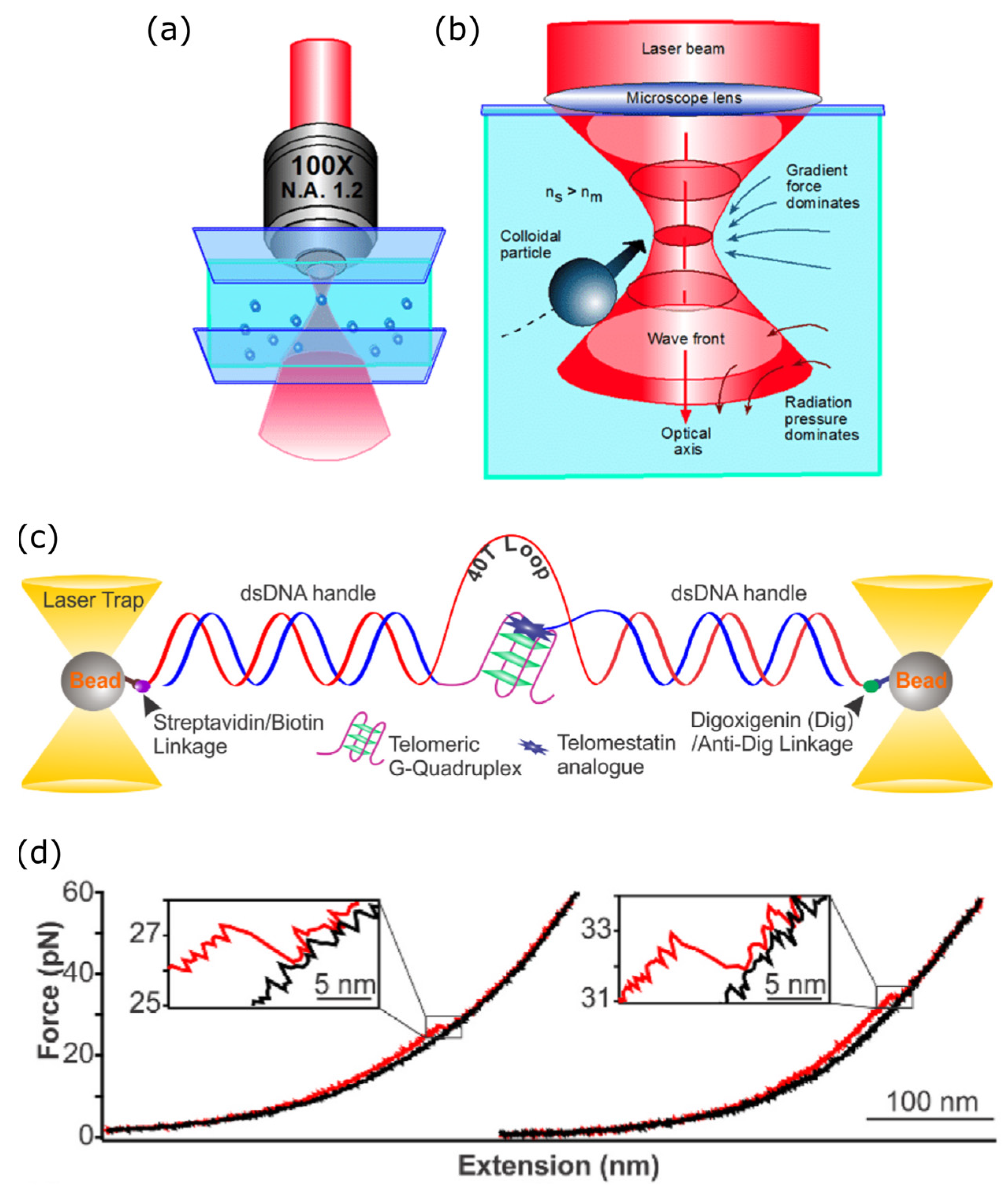 Photonics 11 01061 g002 Photonics 11 01061 g002