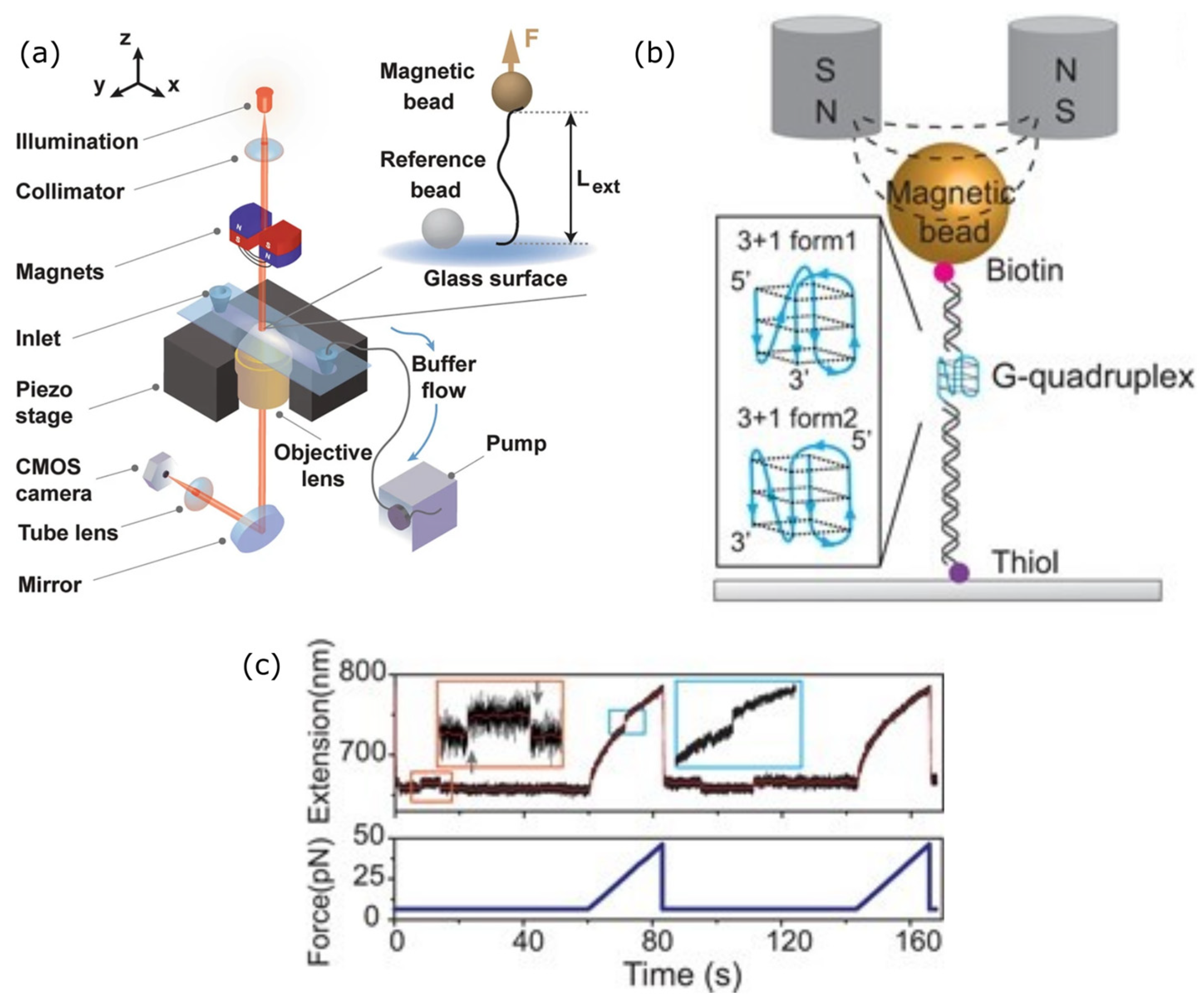 Photonics 11 01061 g003 Photonics 11 01061 g003