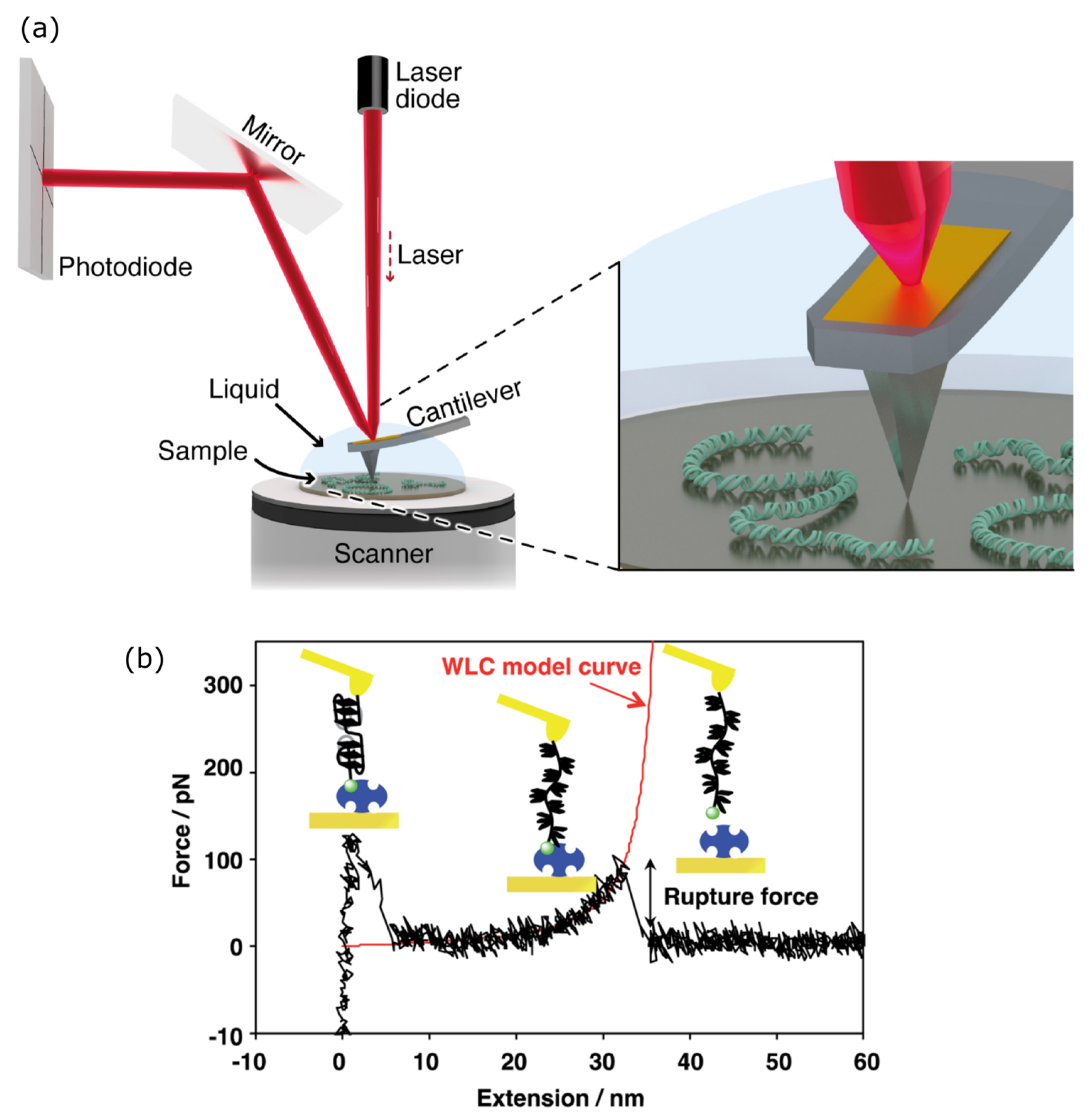 Photonics 11 01061 g004 Photonics 11 01061 g004