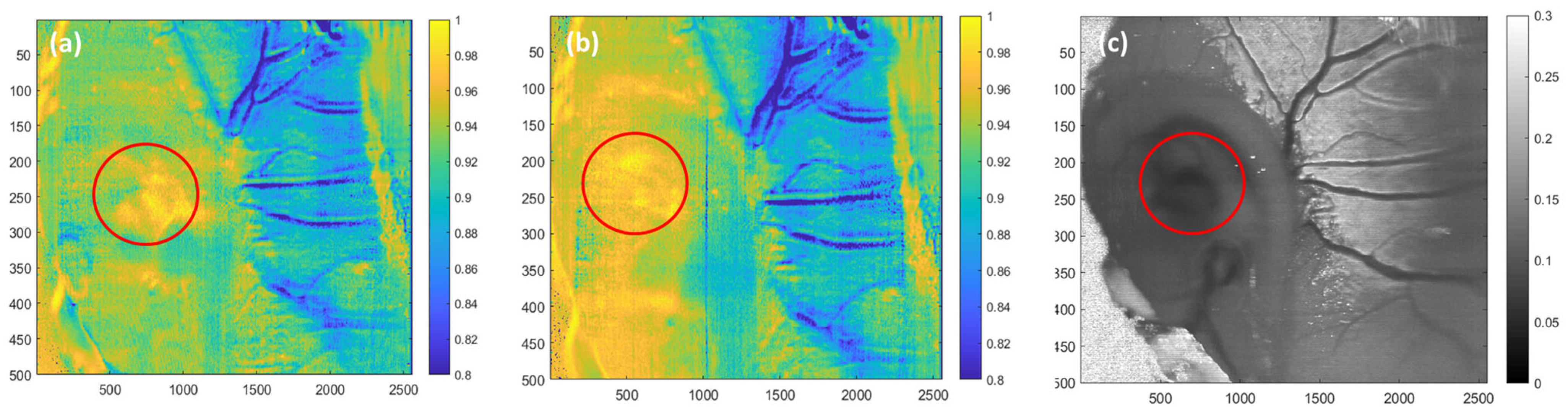 Photonics 11 01085 g006