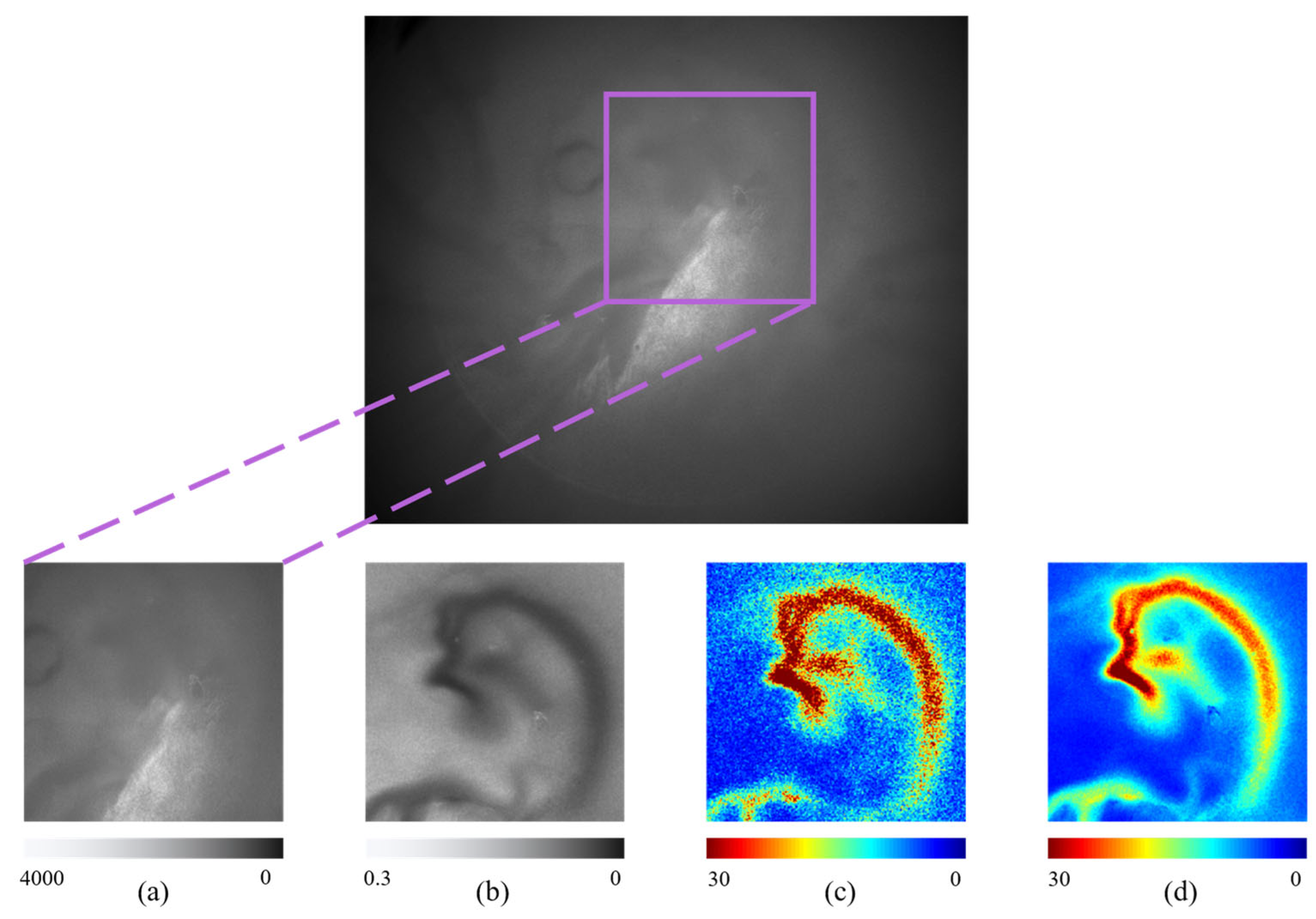 Photonics 11 01085 g007