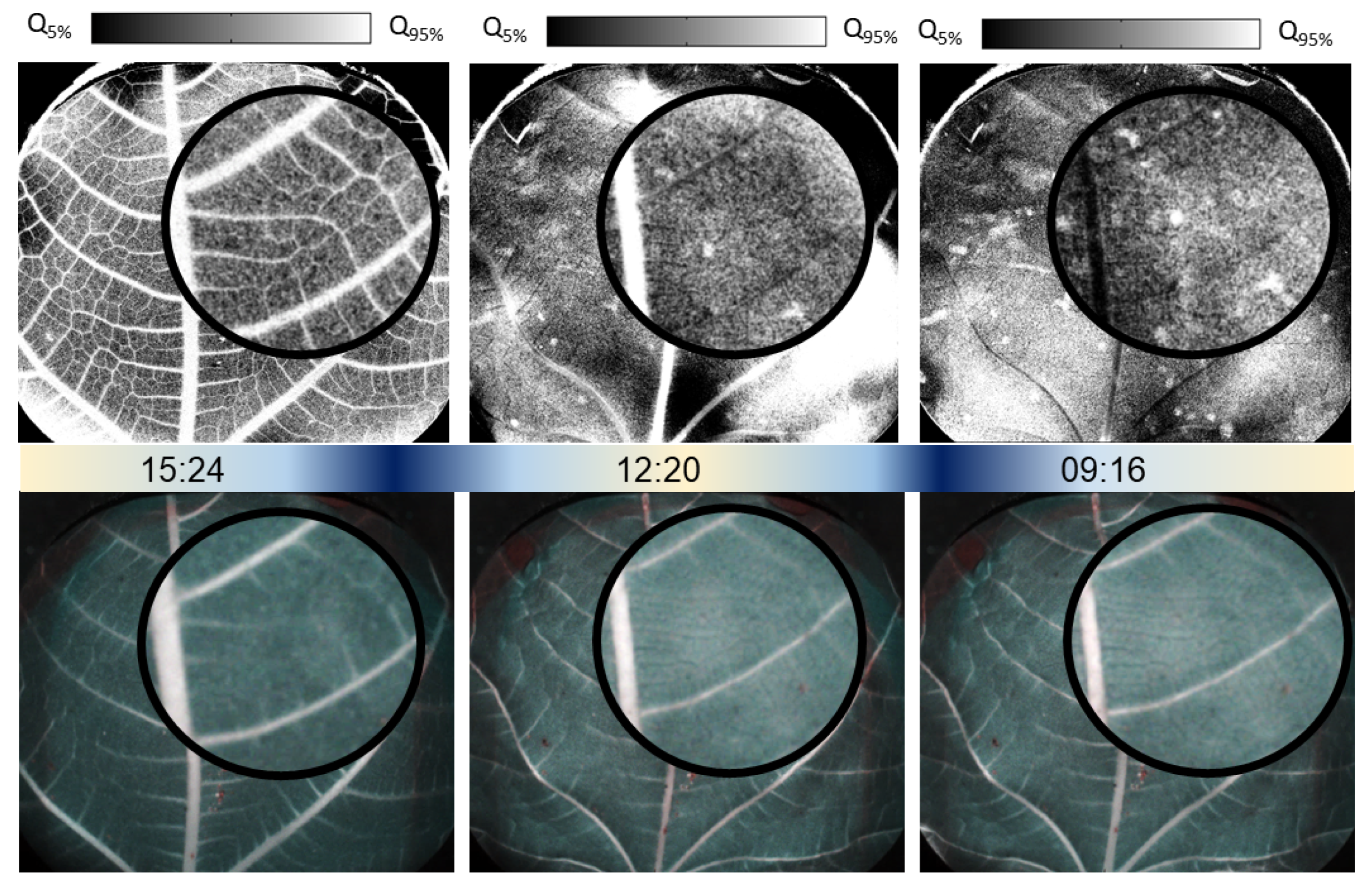 Photonics 11 01086 g002