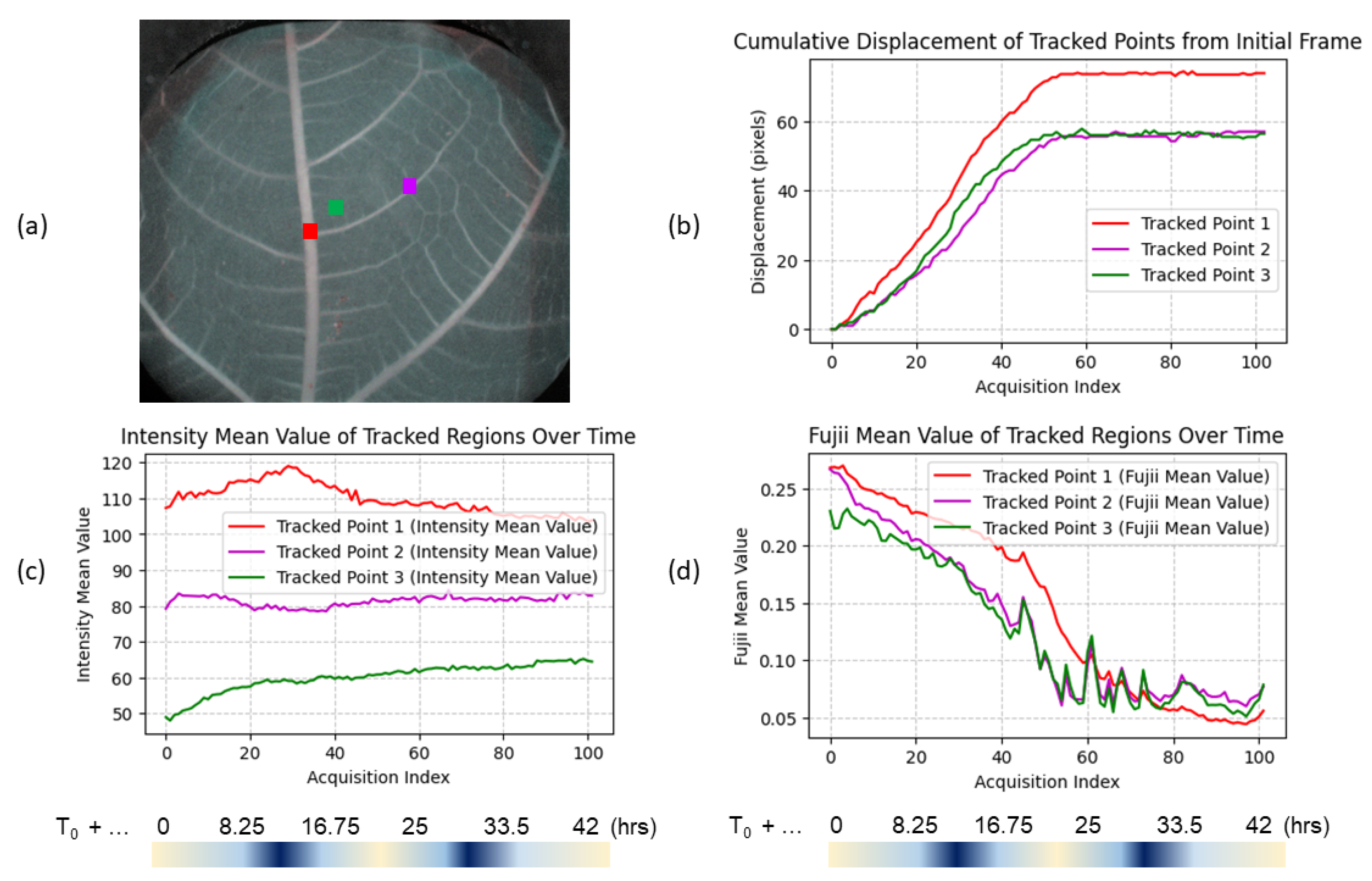 Photonics 11 01086 g003