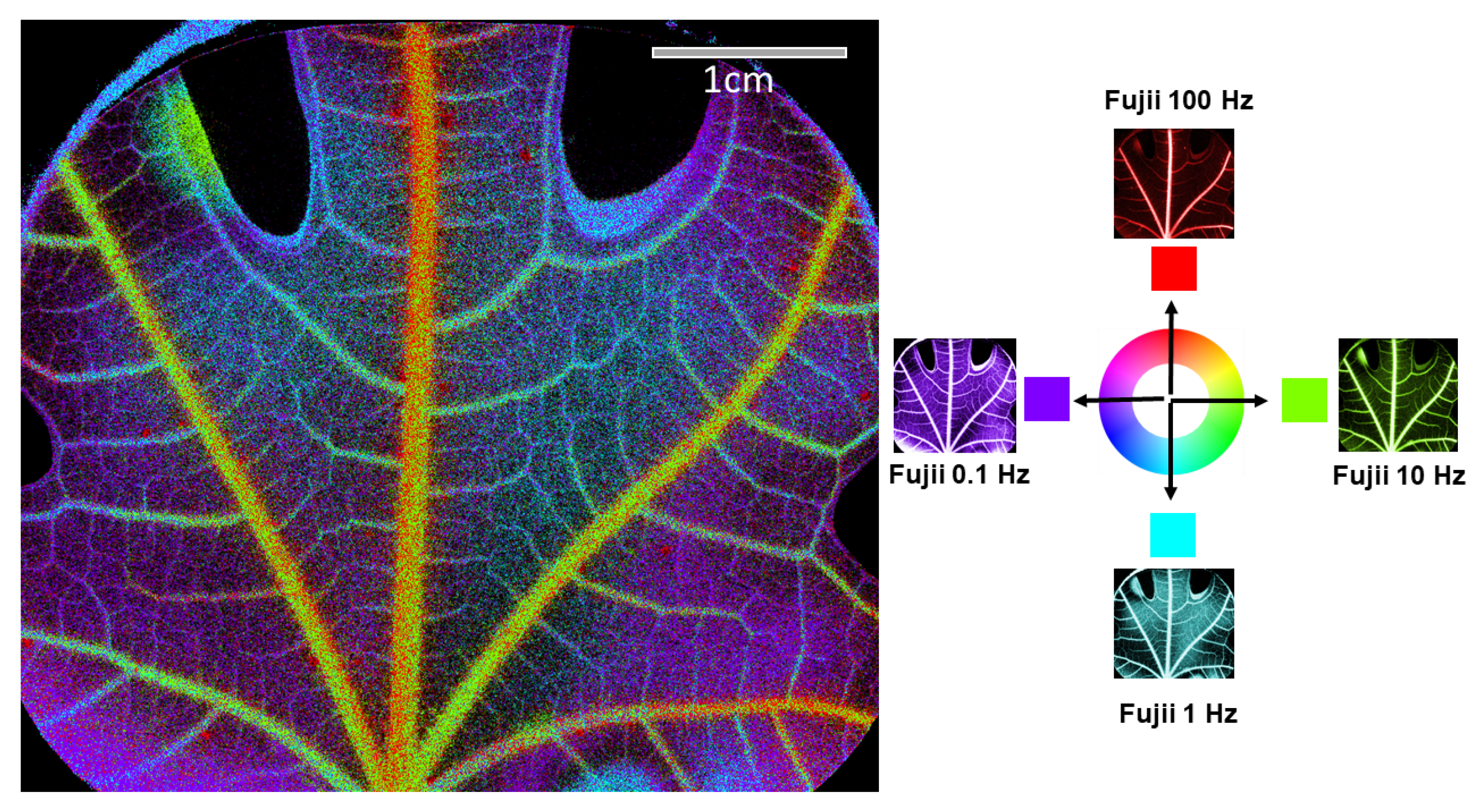 Photonics 11 01086 g005