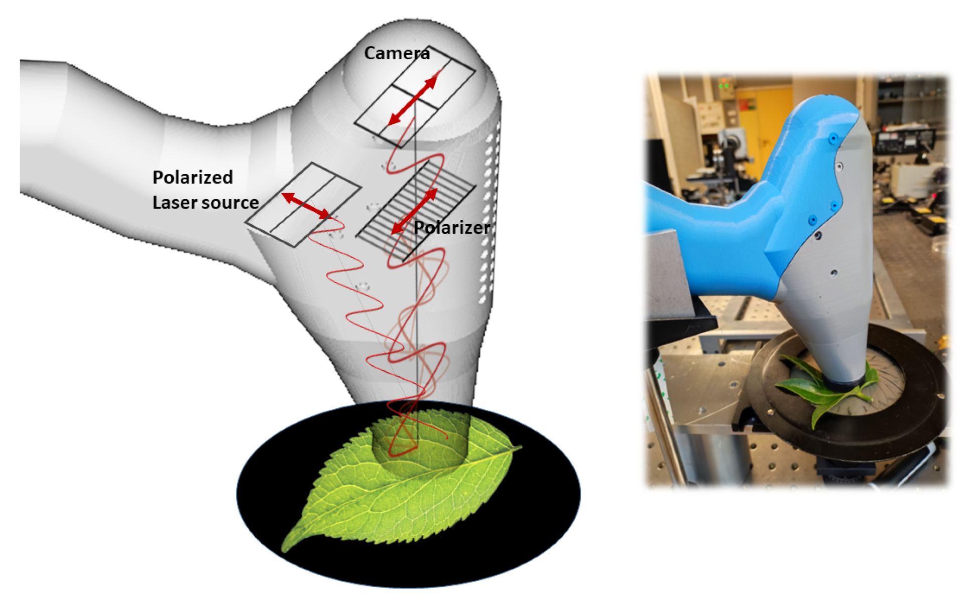 Photonics 11 01086 g006