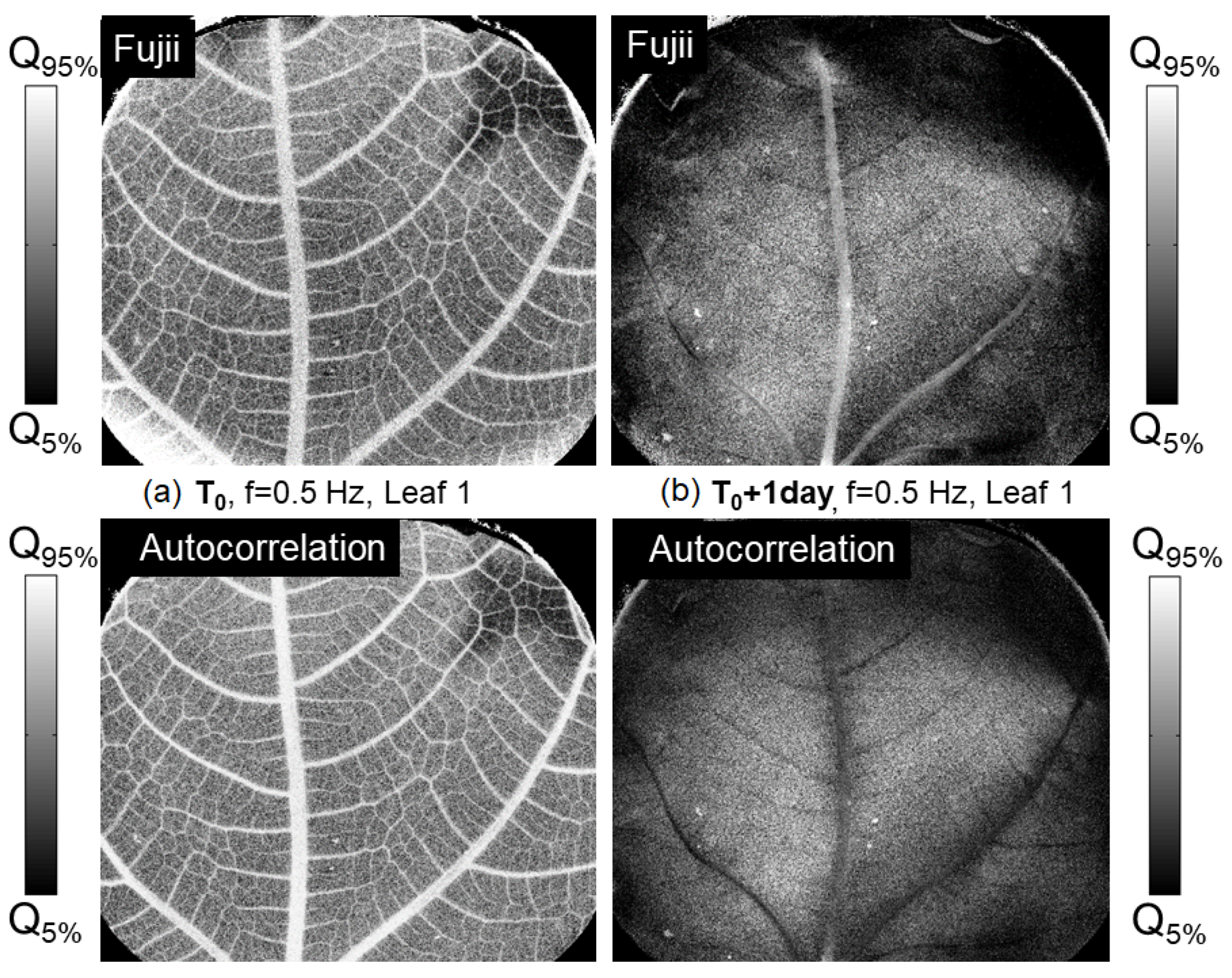 Photonics 11 01086 g007