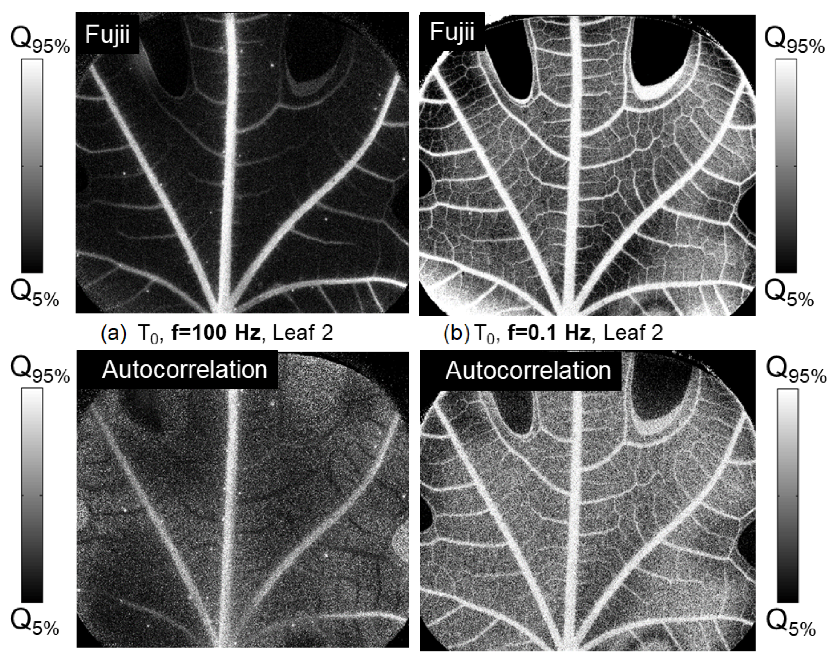 Photonics 11 01086 g008