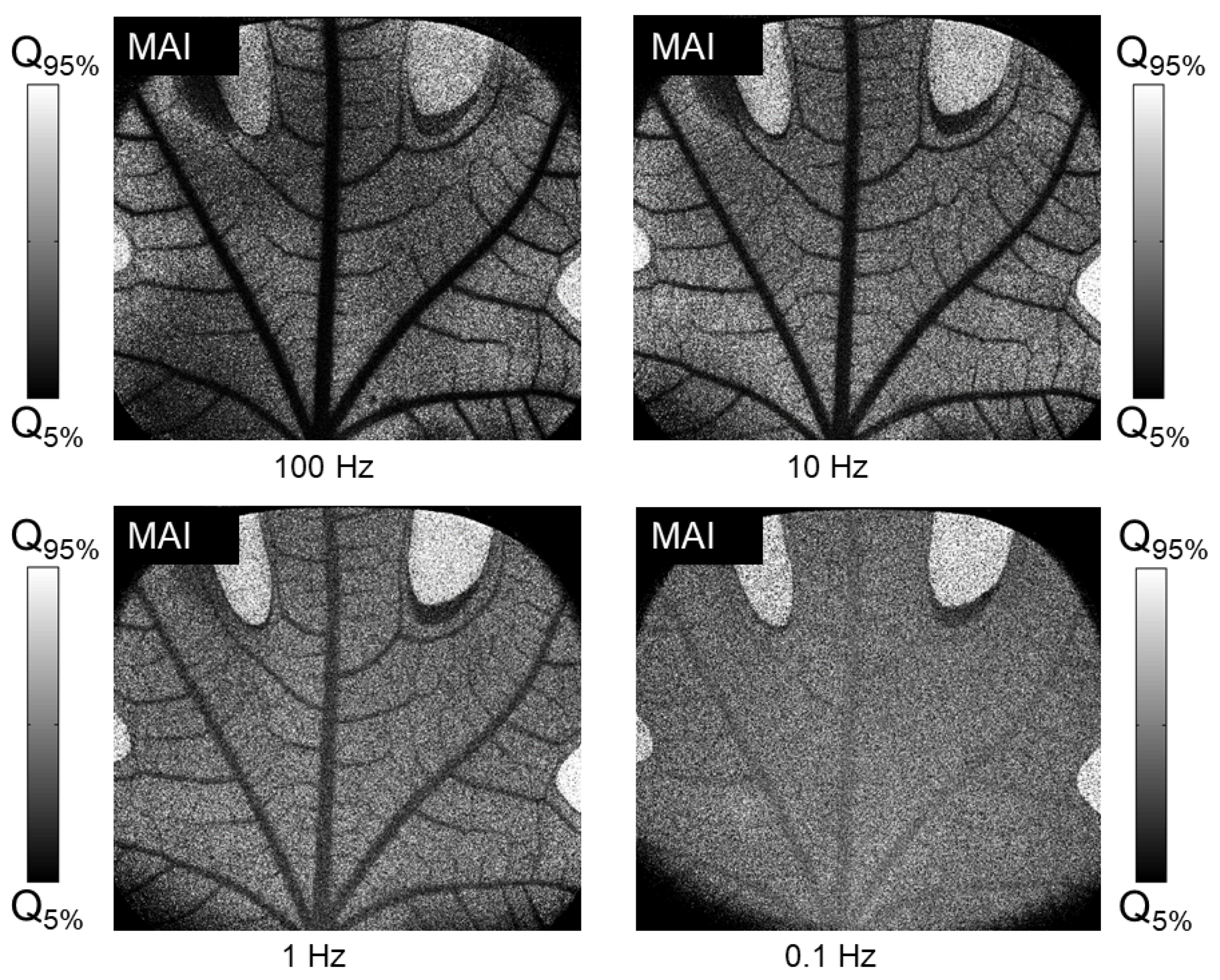 Photonics 11 01086 g009