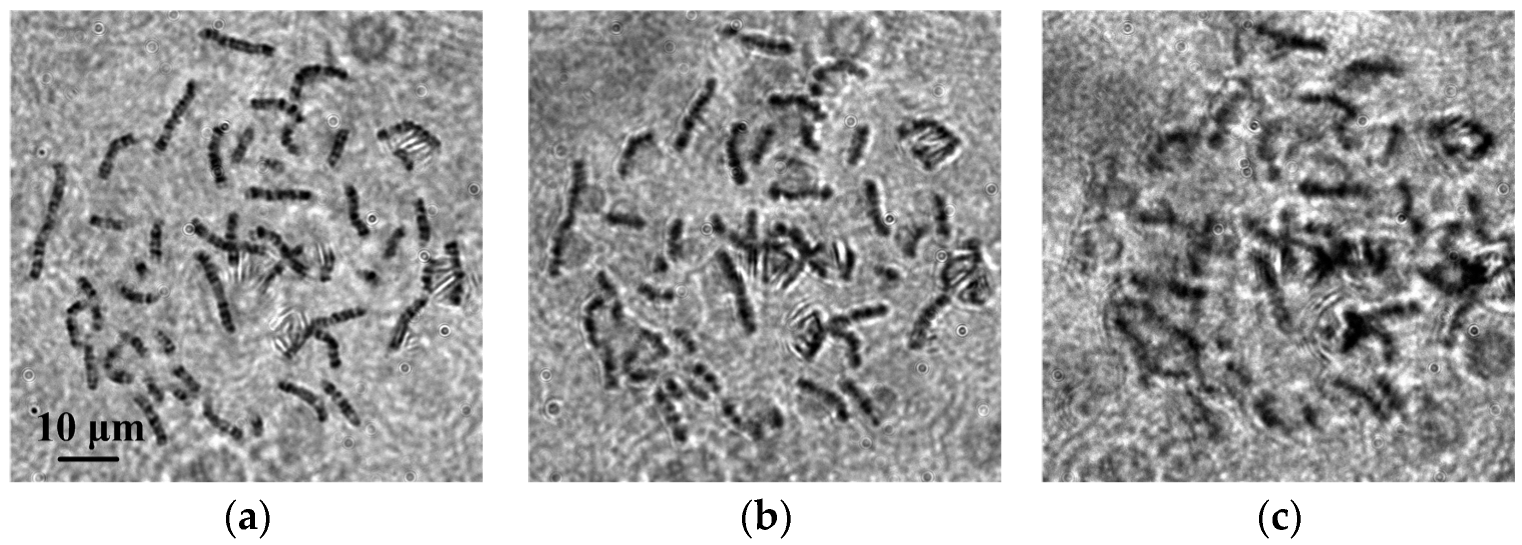 Photonics 11 01091 g004