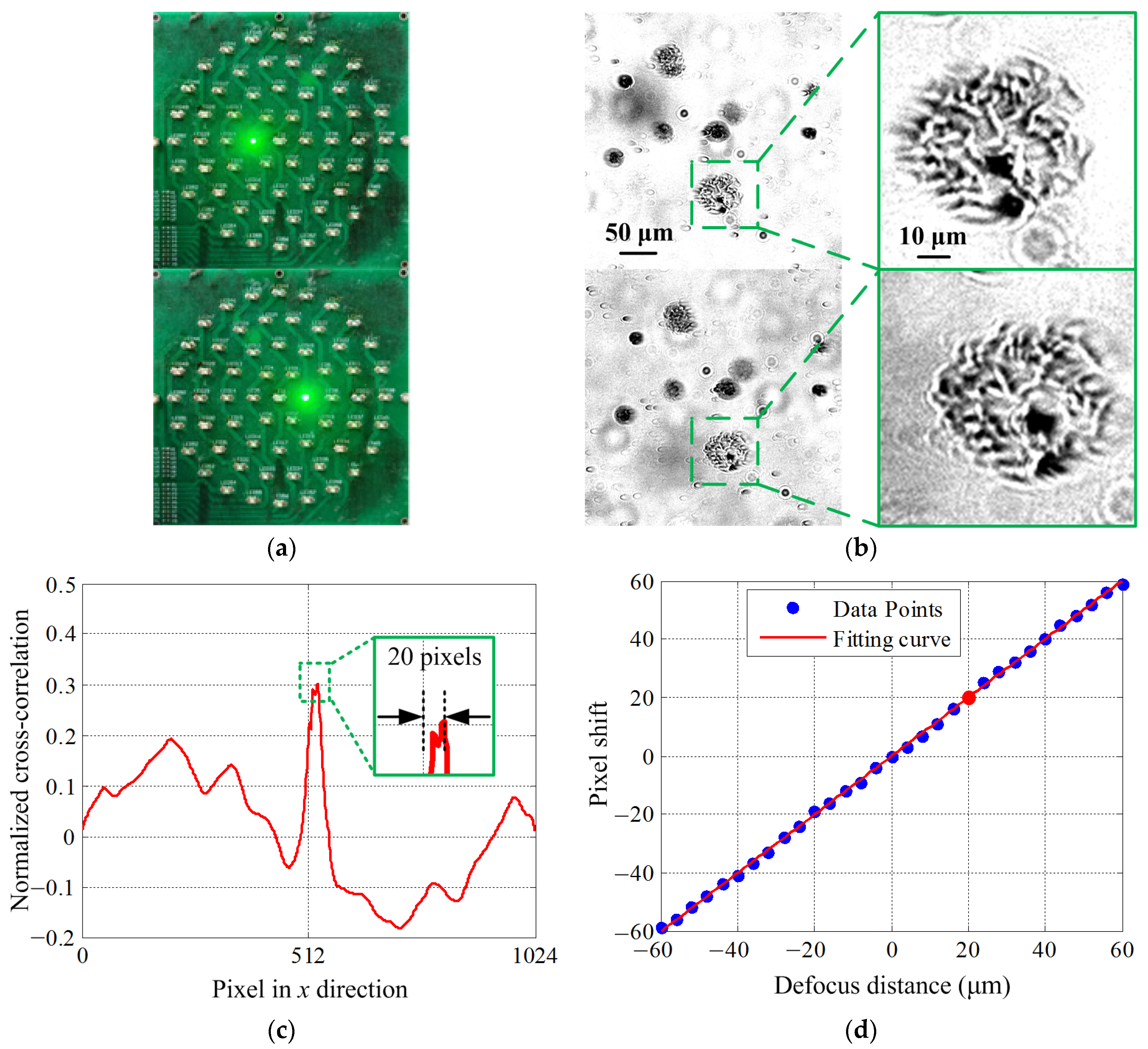 Photonics 11 01091 g005