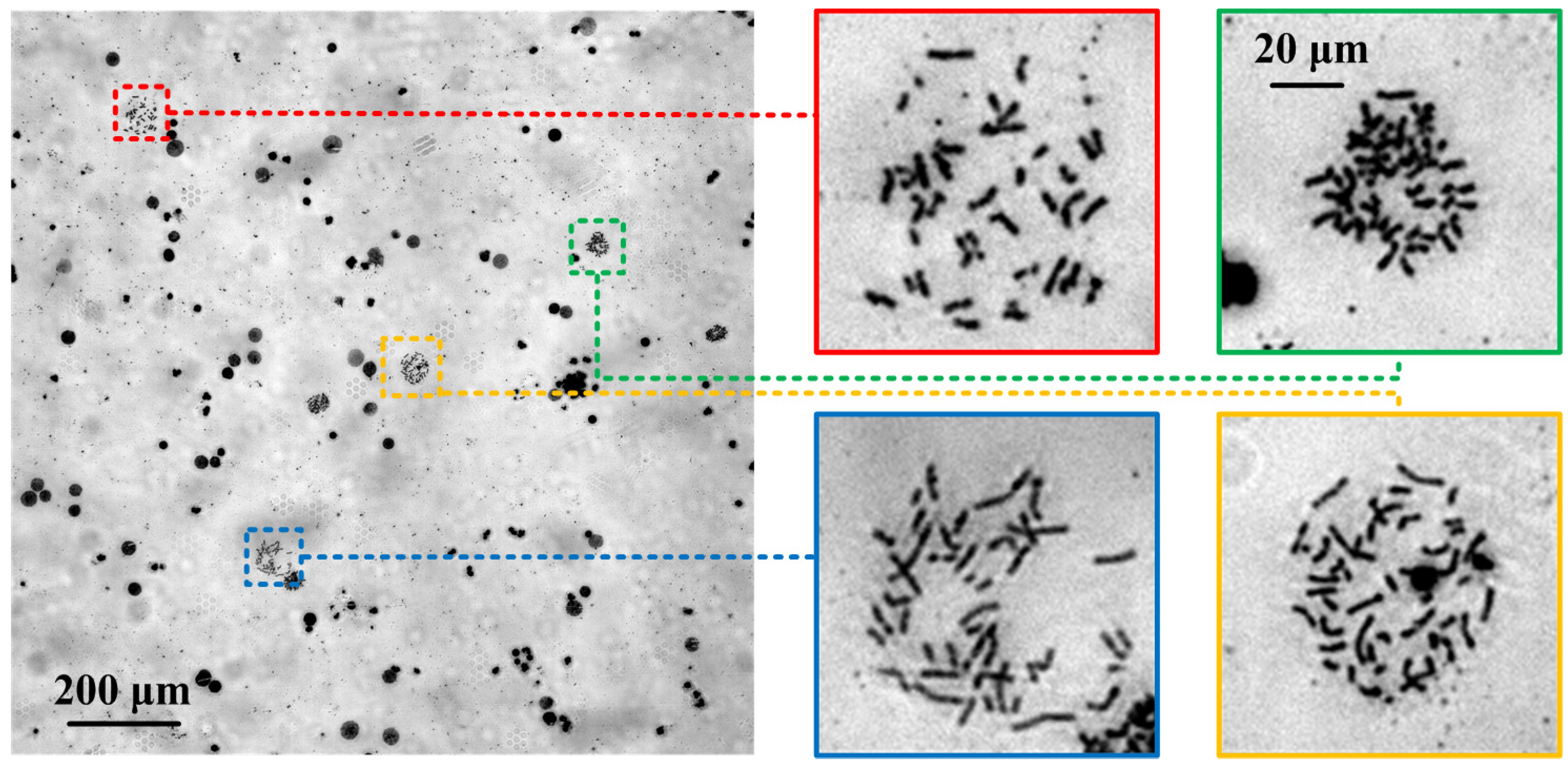 Photonics 11 01091 g007