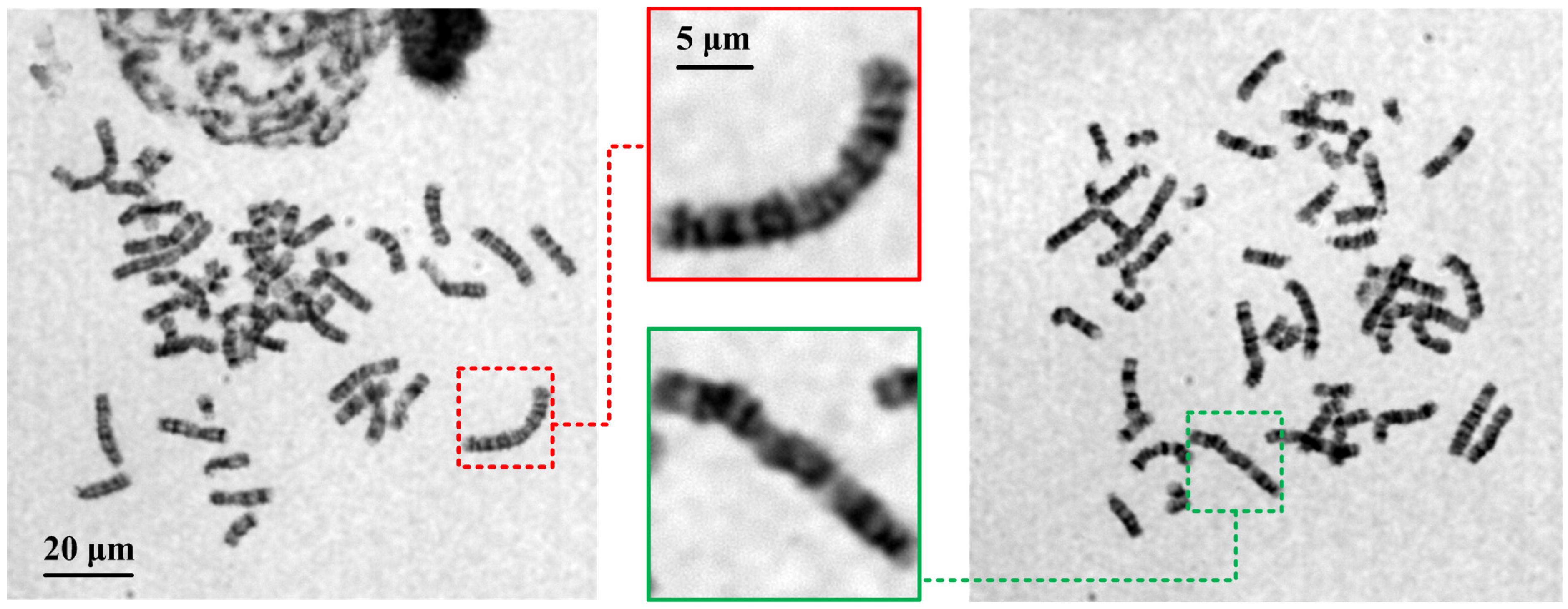 Photonics 11 01091 g008