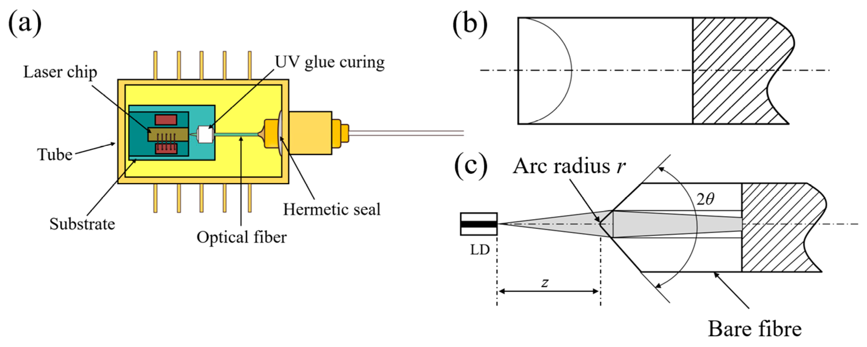 Photonics 11 01101 g001