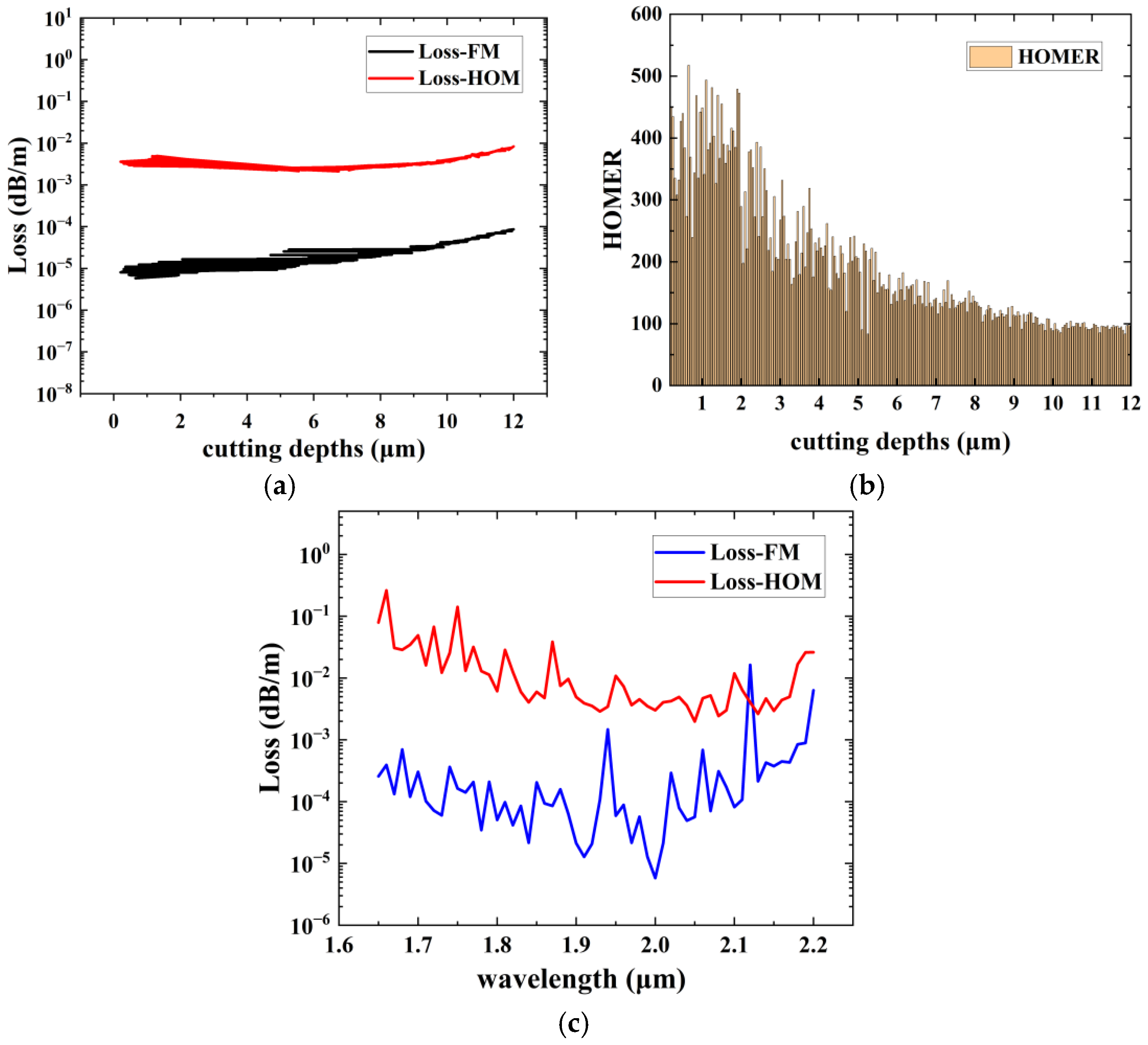 Photonics 11 01109 g005