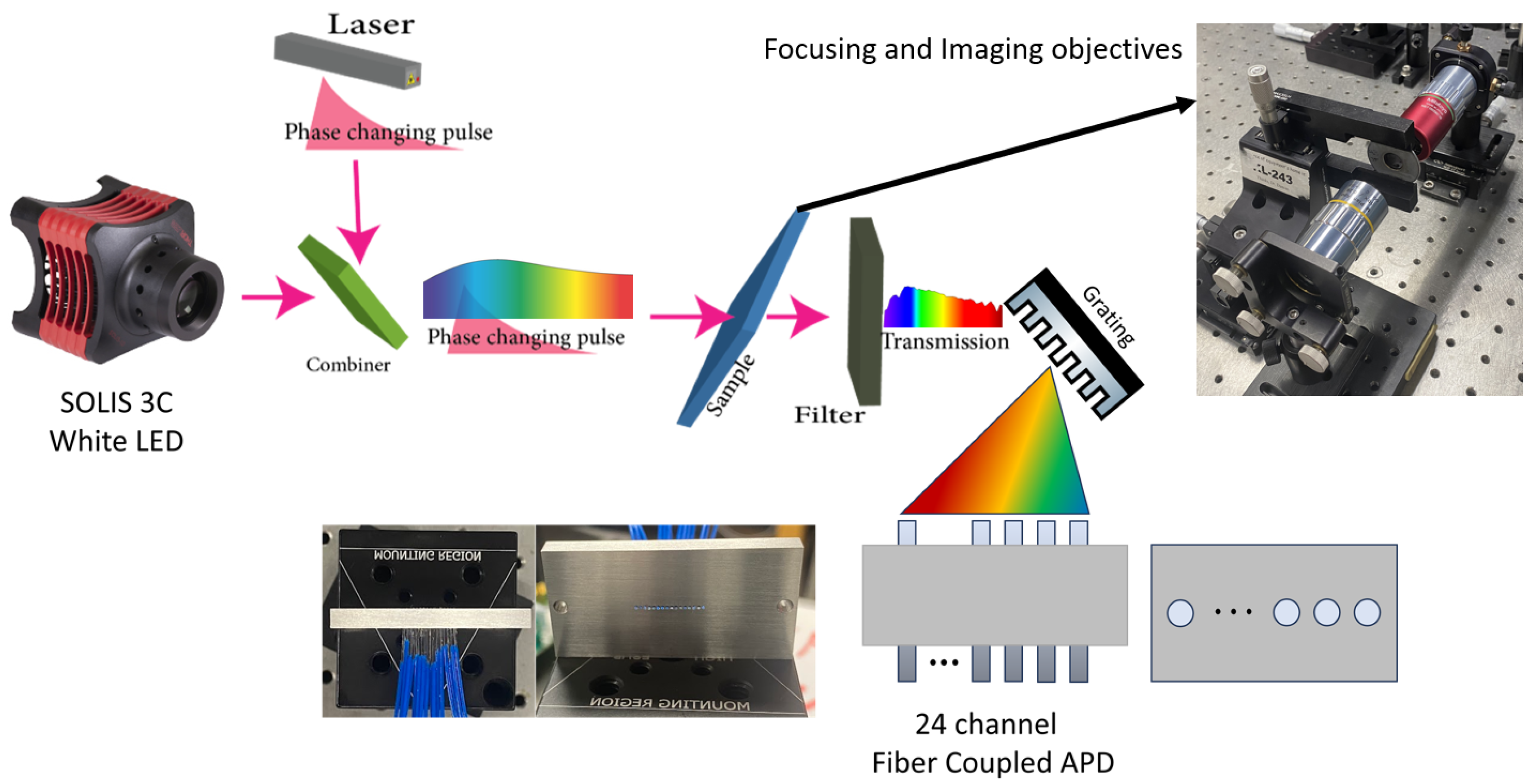 Toward Single-Shot Real-Time Spectroscopy of Dynamic