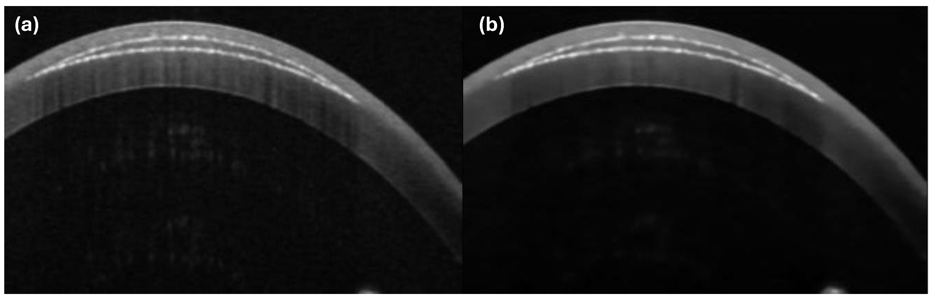 Photonics 11 01123 g003