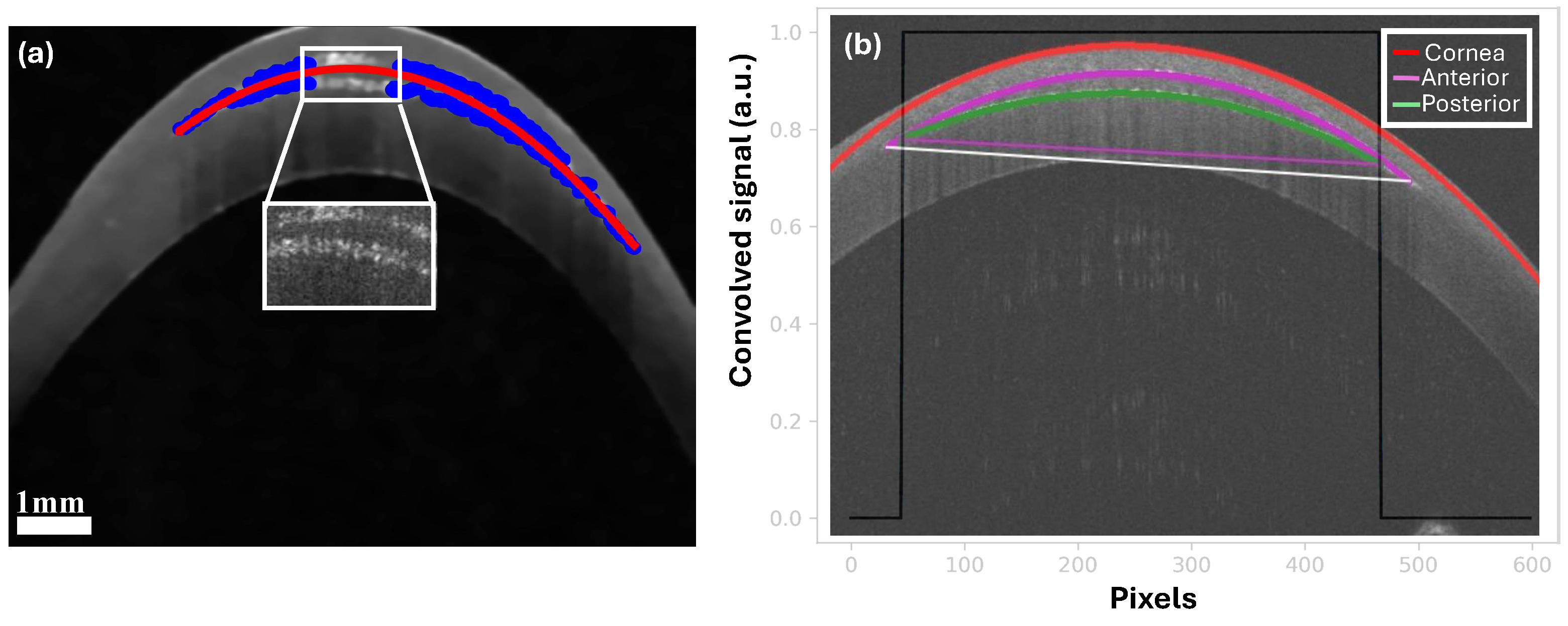 Photonics 11 01123 g004