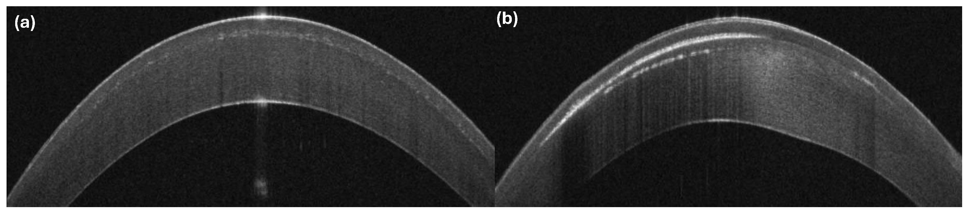Photonics 11 01123 g009